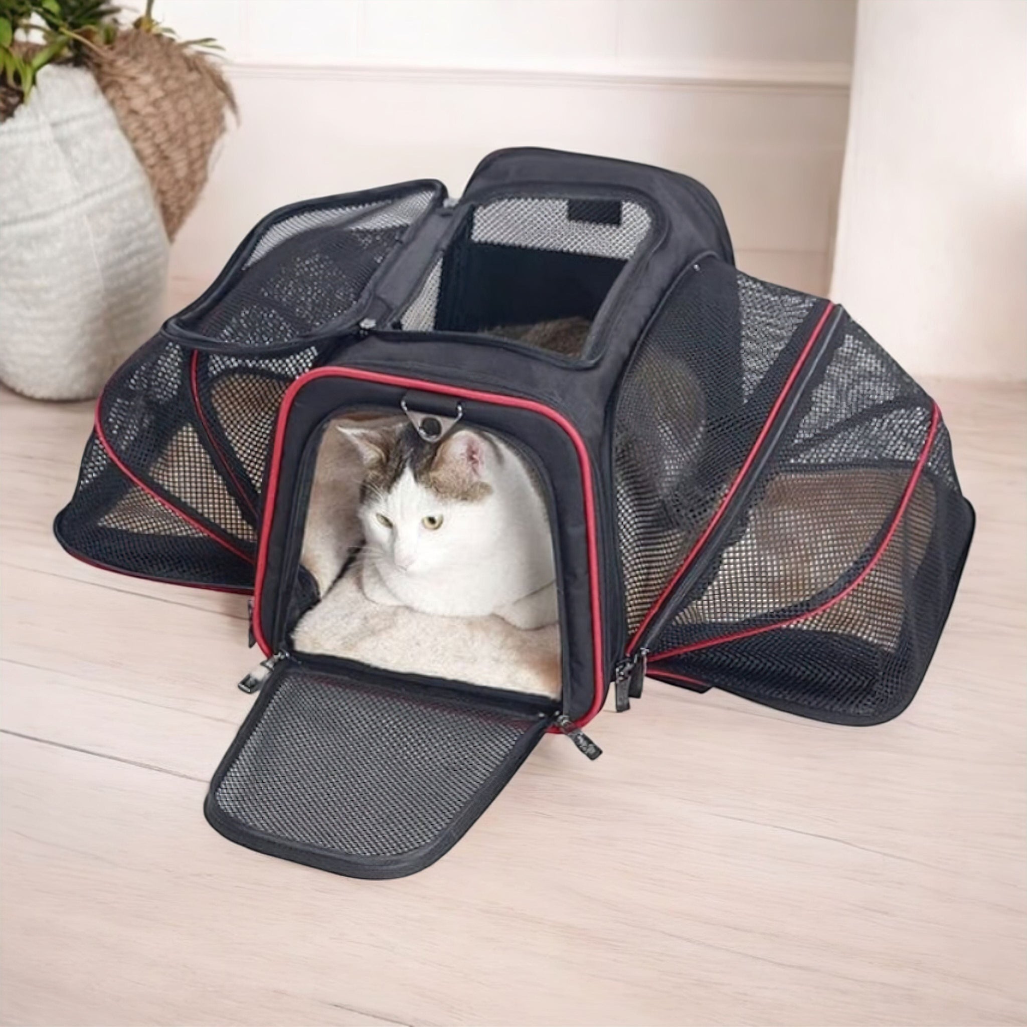 Outdoor Travel Bag (JS) display image edit done Pet Carrier Handbag Luxe Pet Store 