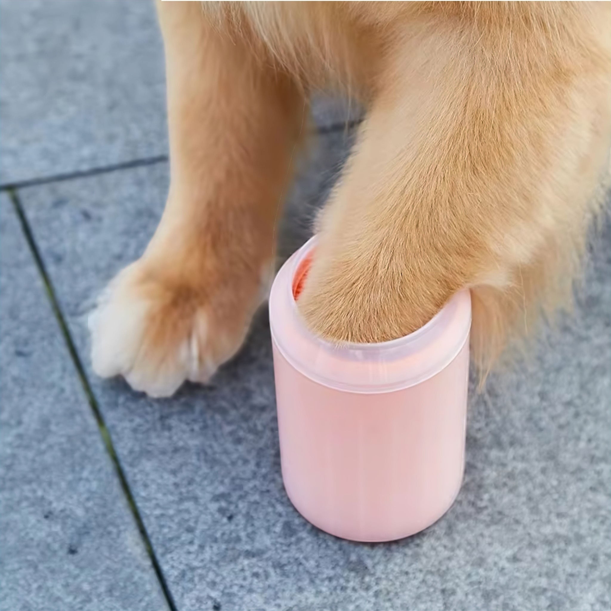 Dog Paw Cleaner Cup (JS) display image edit done Grooming Luxe Pet Store 