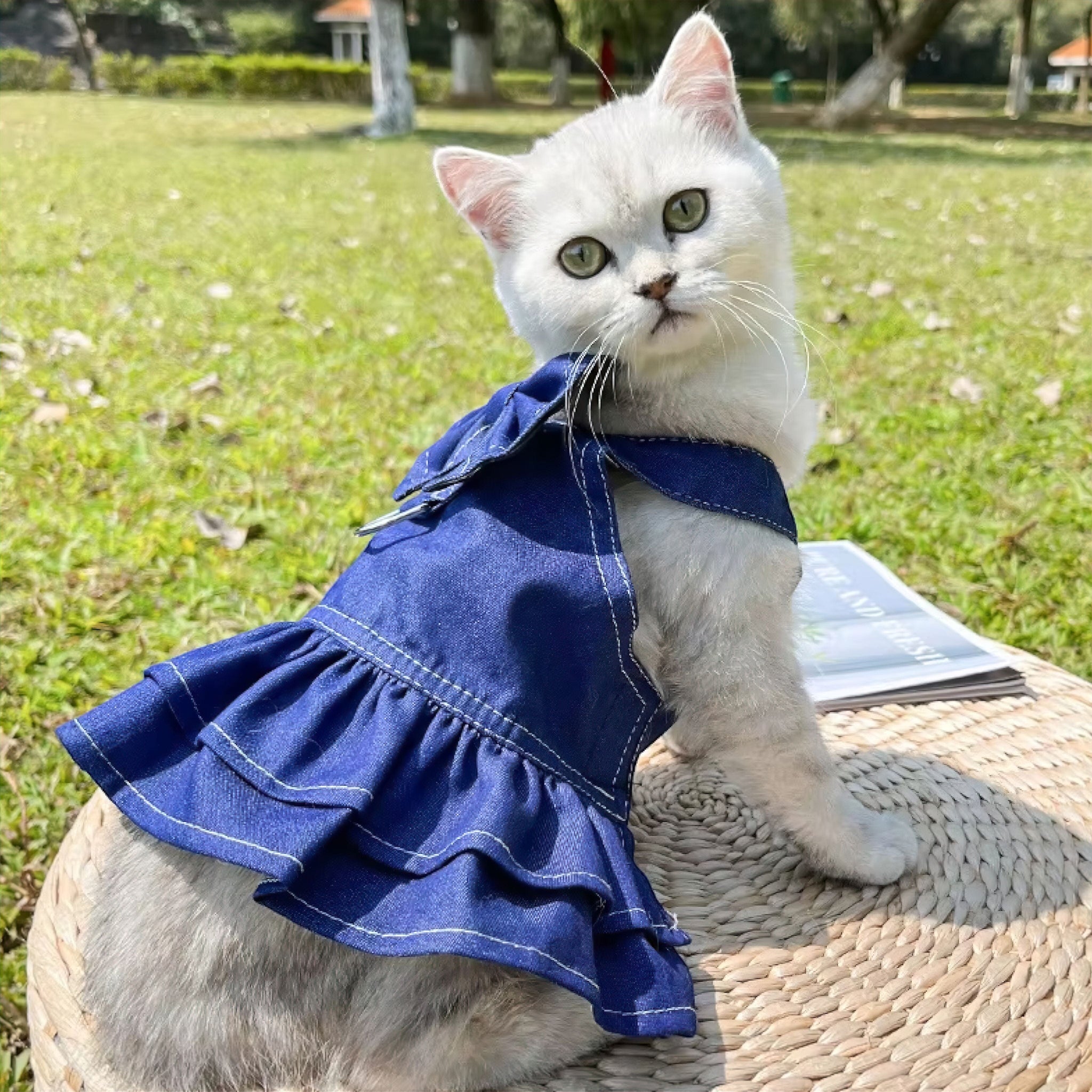 Denim Pet Wear (add USA sizes in APD) Luxe Pet Store | Tiny. Pure. Love. 