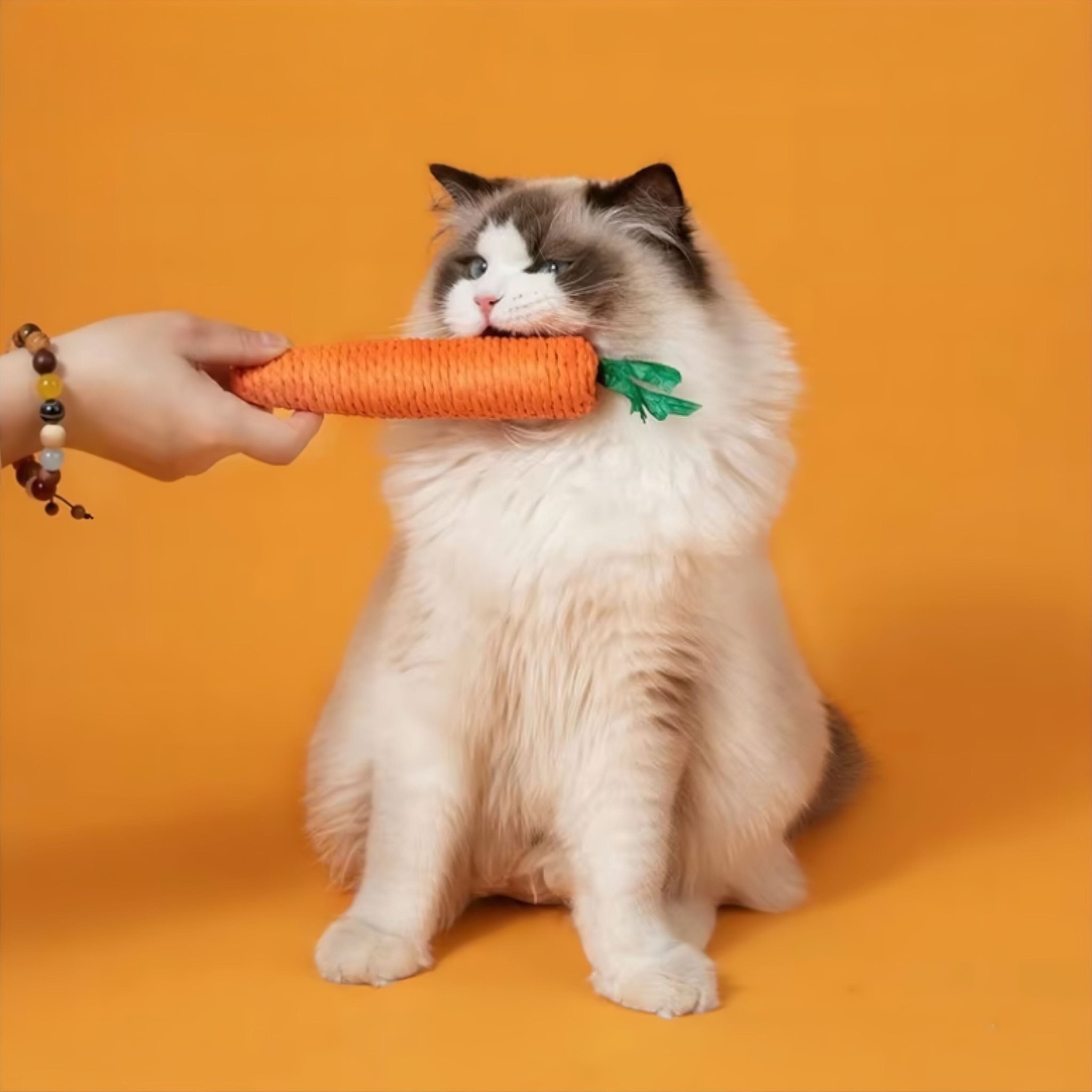 Cuddle Carrot Toy Luxe Pet Store | Tiny. Pure. Love. 