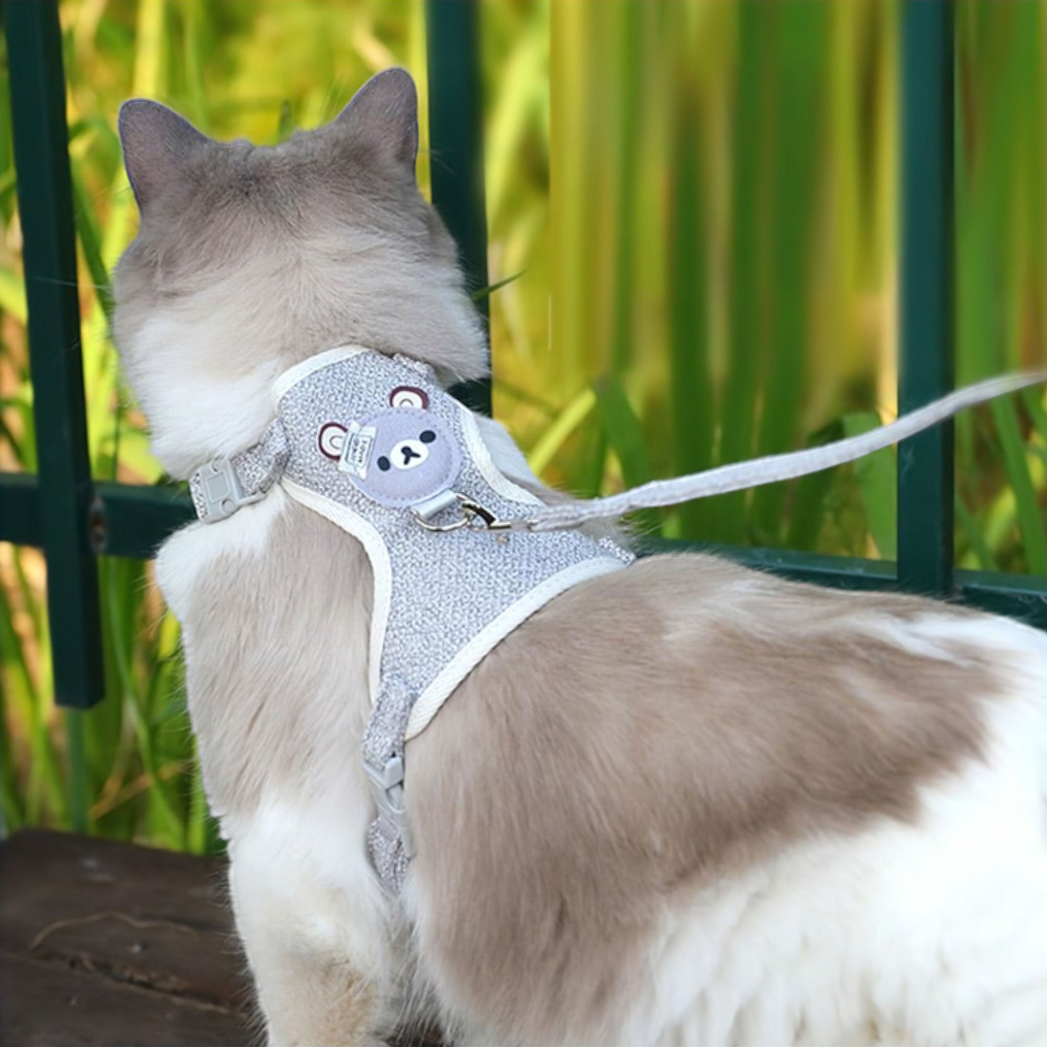 Pawfect Fit Harness (convert APD for US customers into pounds ) Luxe Pet Store | Tiny. Pure. Love. 