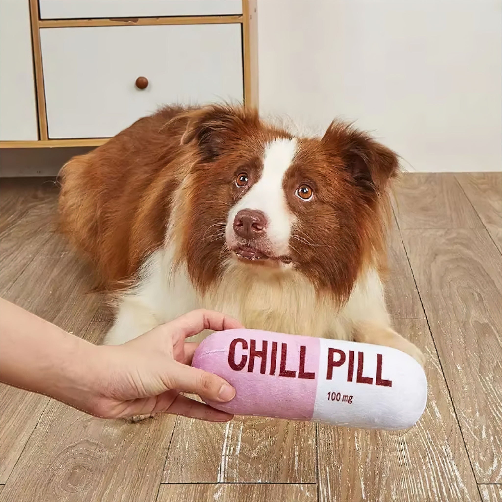 Chill Pill Plush Luxe Pet Store | Tiny. Pure. Love. 