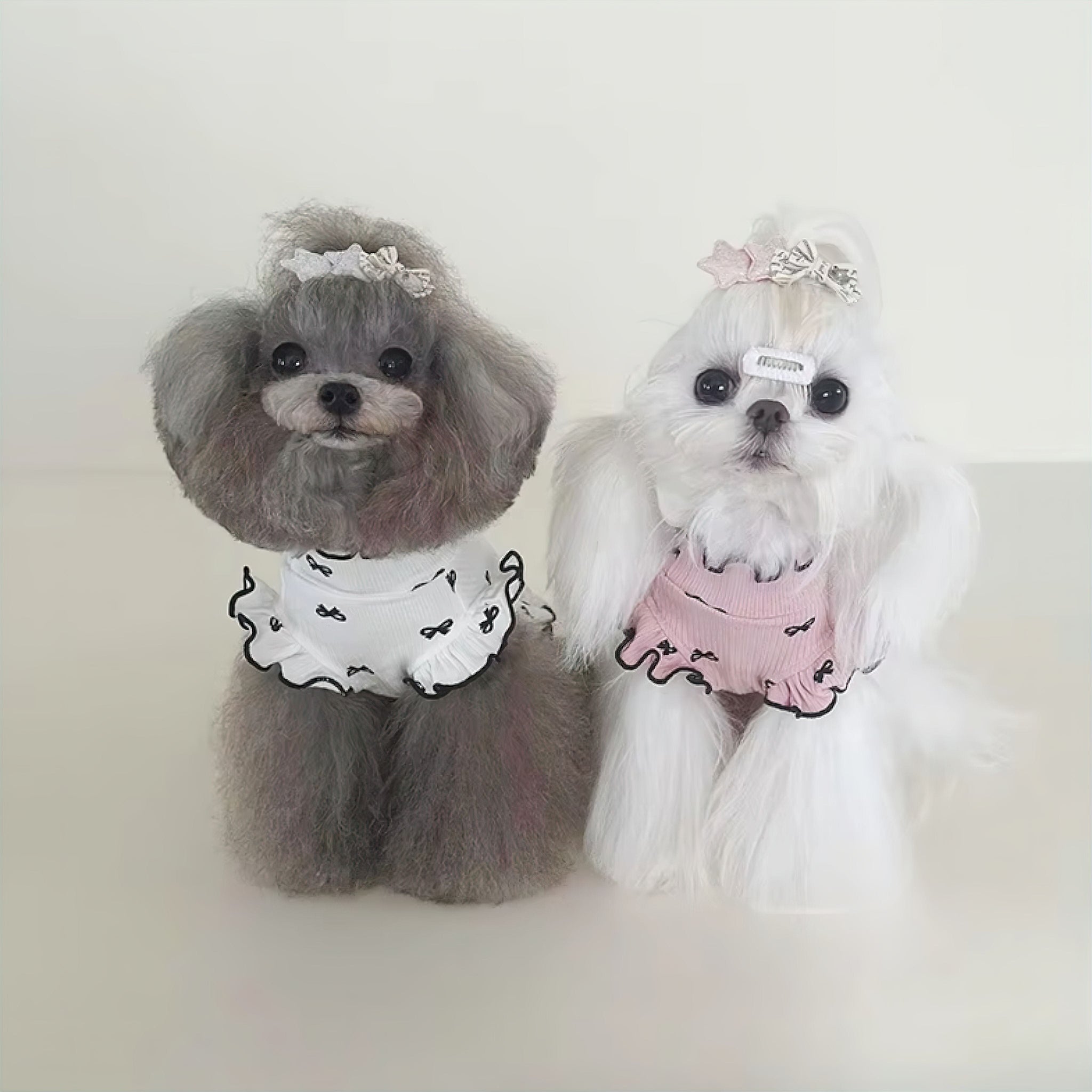 Whimsy Woof Dress (JS) Luxe Pet Store | Tiny. Pure. Love. 