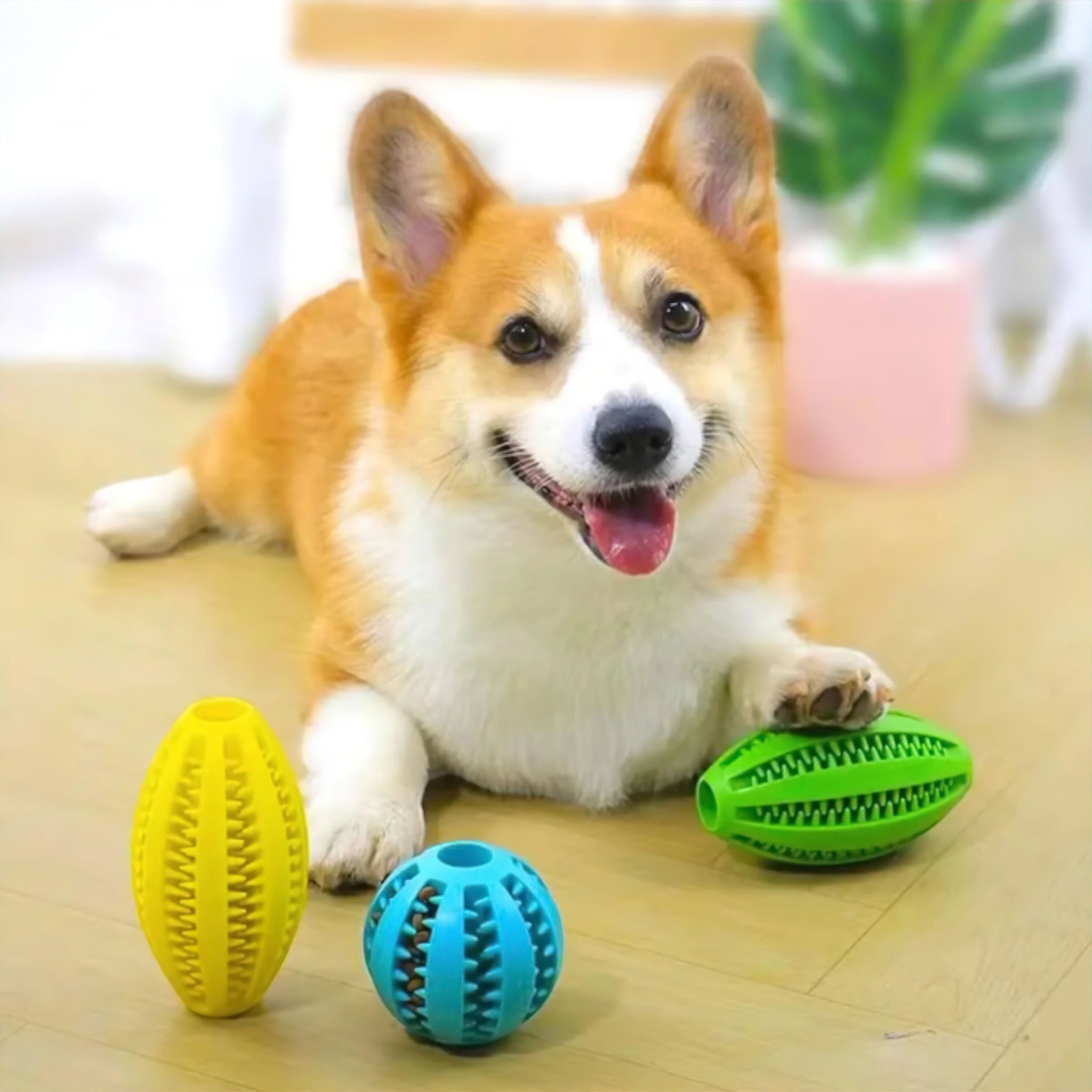 Jaw Juggler Ball (JS) Luxe Pet Store | Tiny. Pure. Love. 
