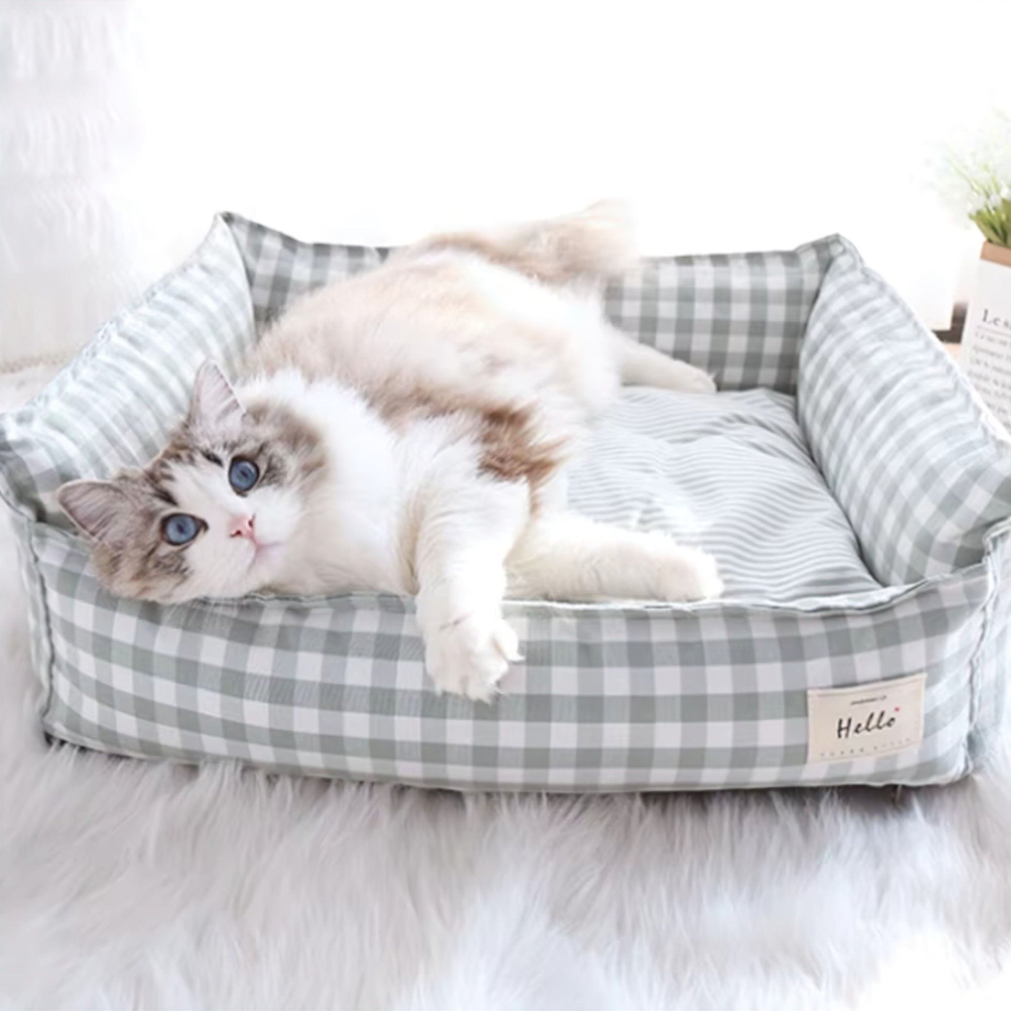 Purrfect Rest Spot (JS) Luxe Pet Store | Tiny. Pure. Love. 