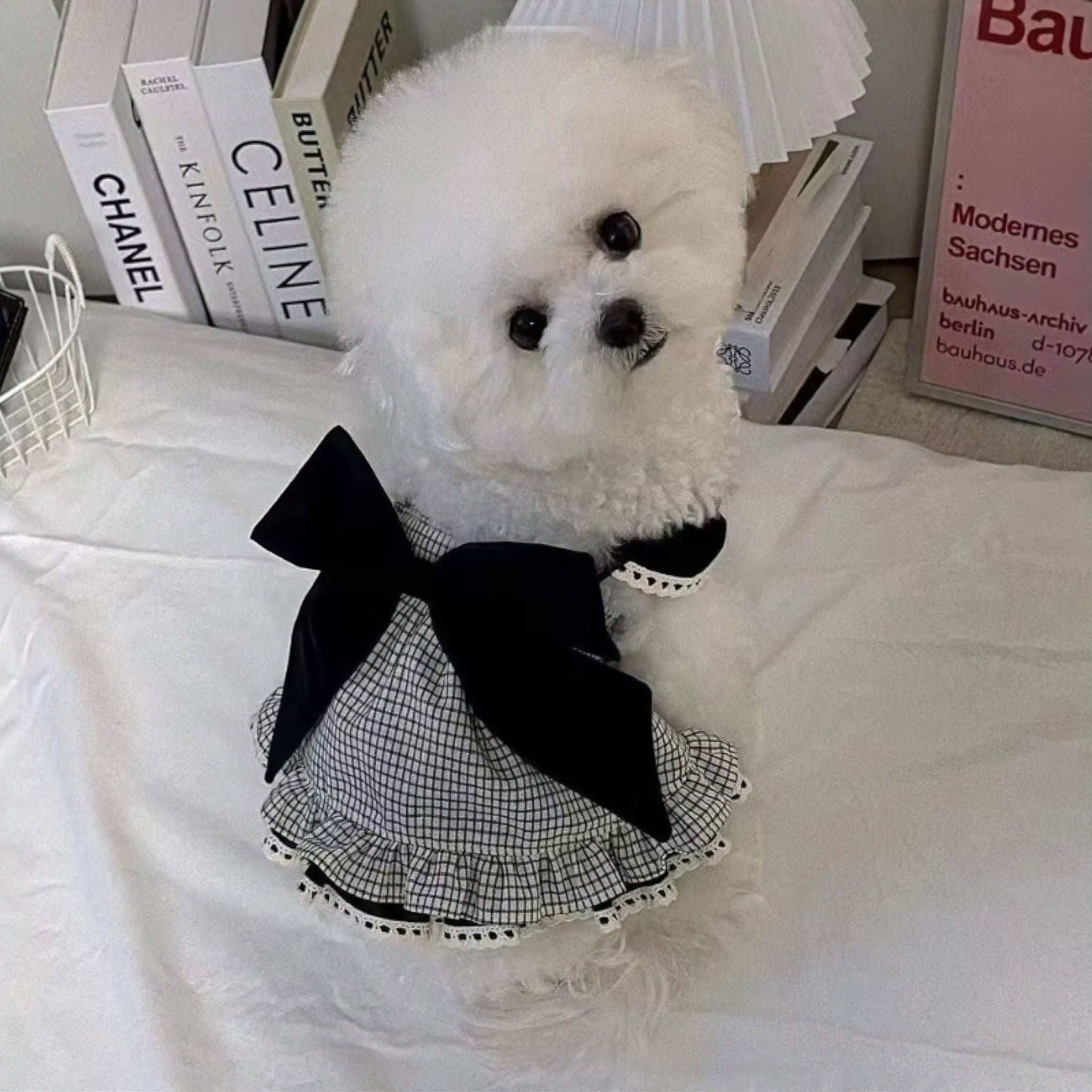 Pet Picnic Dress (JS) Luxe Pet Store | Tiny. Pure. Love. 