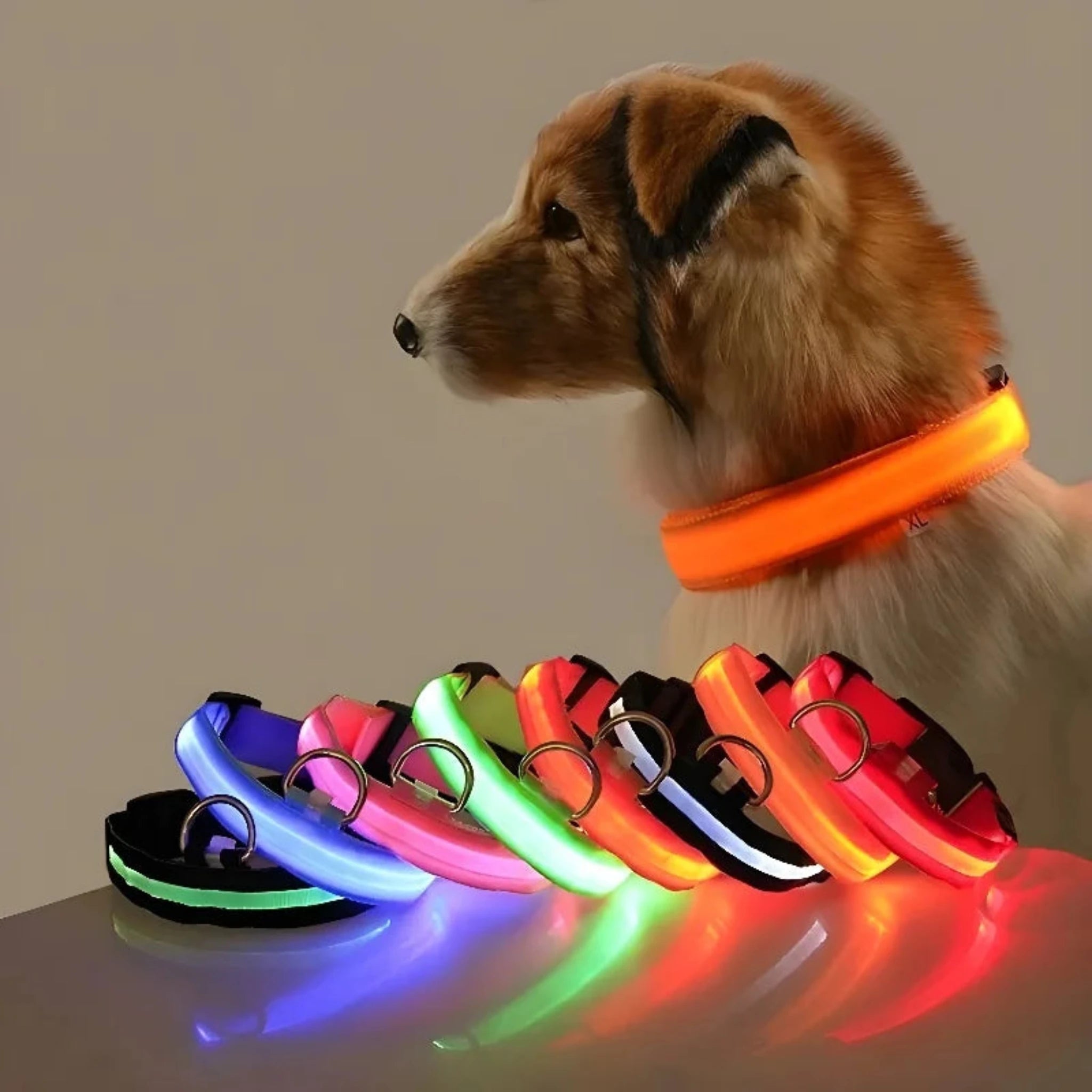 Luminous Dog Collar Luxe Pet Store | Tiny. Pure. Love. 