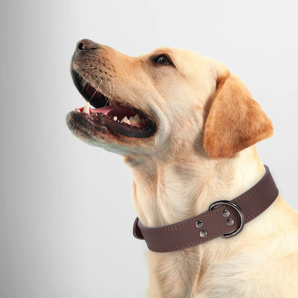 Leather Dog Collar Pet Collar Luxe Pet Store 