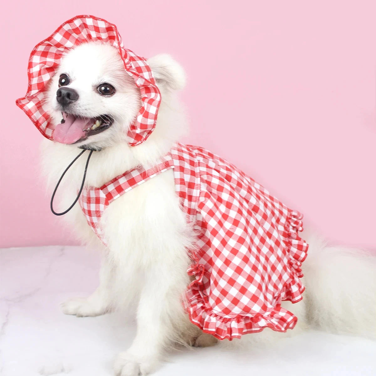 Pet Dress Cute Skirt Spring & Summer Cat and Dog Clothes For Small Medium Large Dog Poodle Chihuahua Teddy Red Plaid Costumes Luxe Pet Store | Tiny. Pure. Love. 