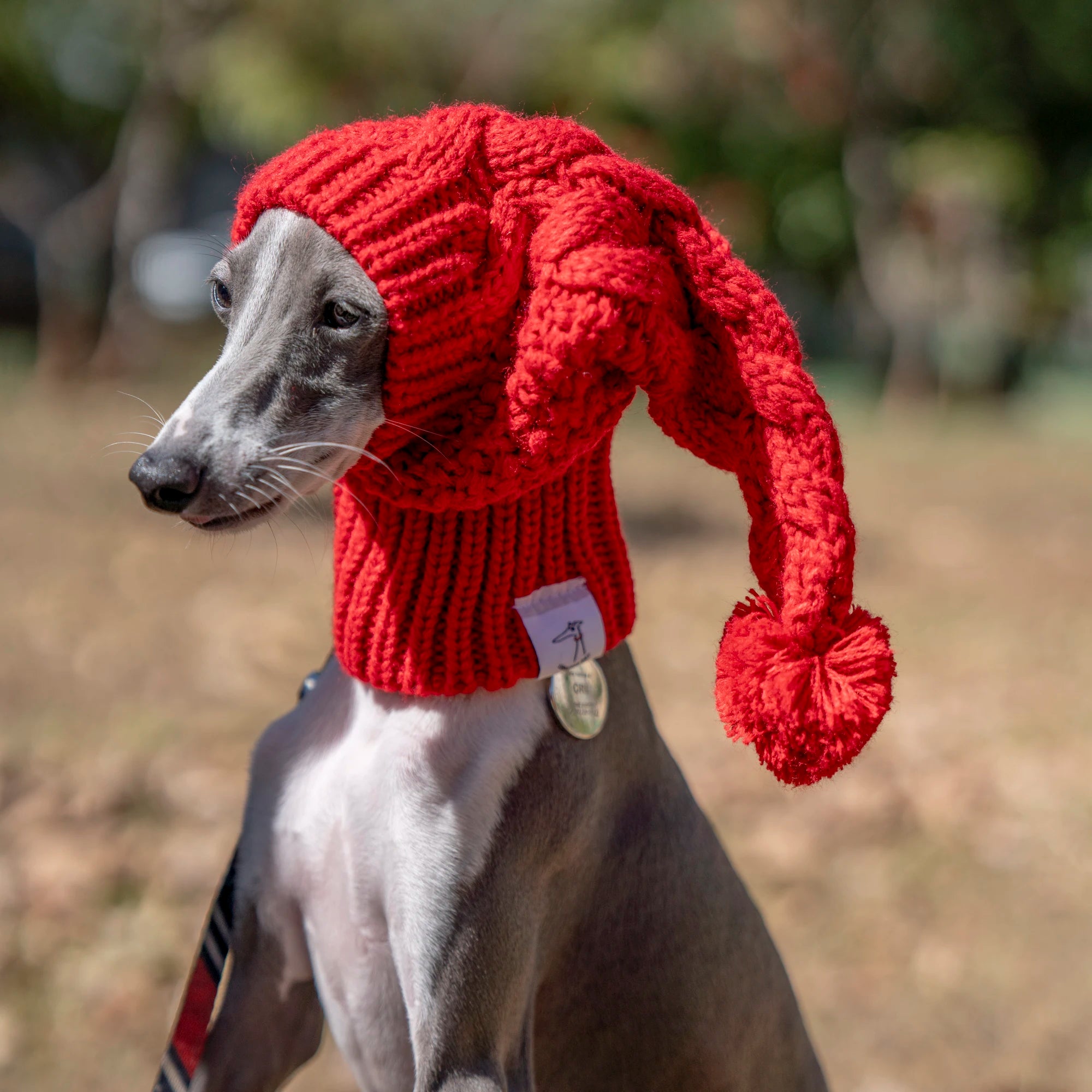 Festive Furball Beanie