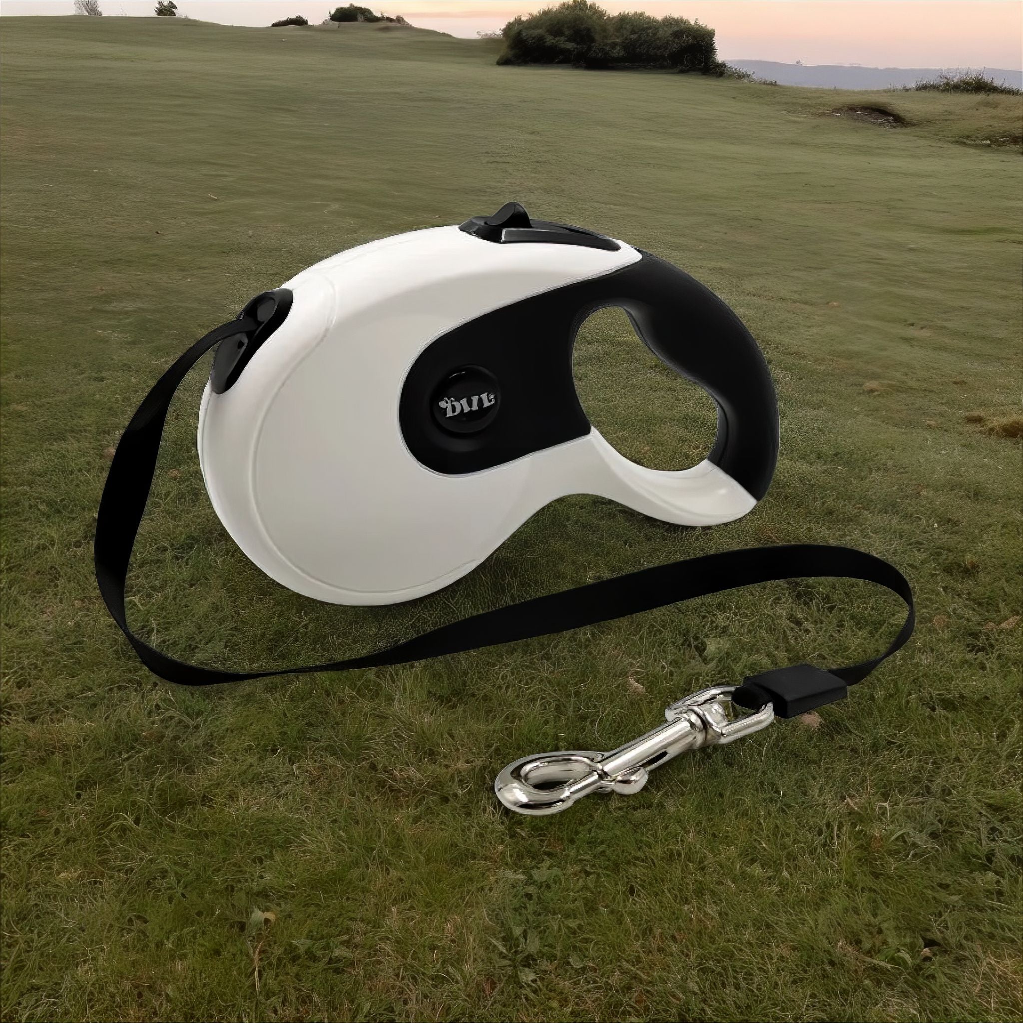 Retractable Leash