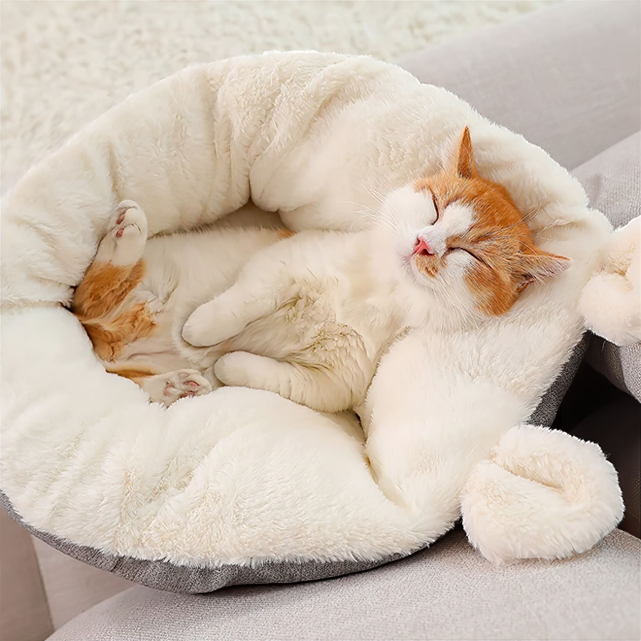 Snuggle Ear Day Bed pet bed Luxe Pet Store 