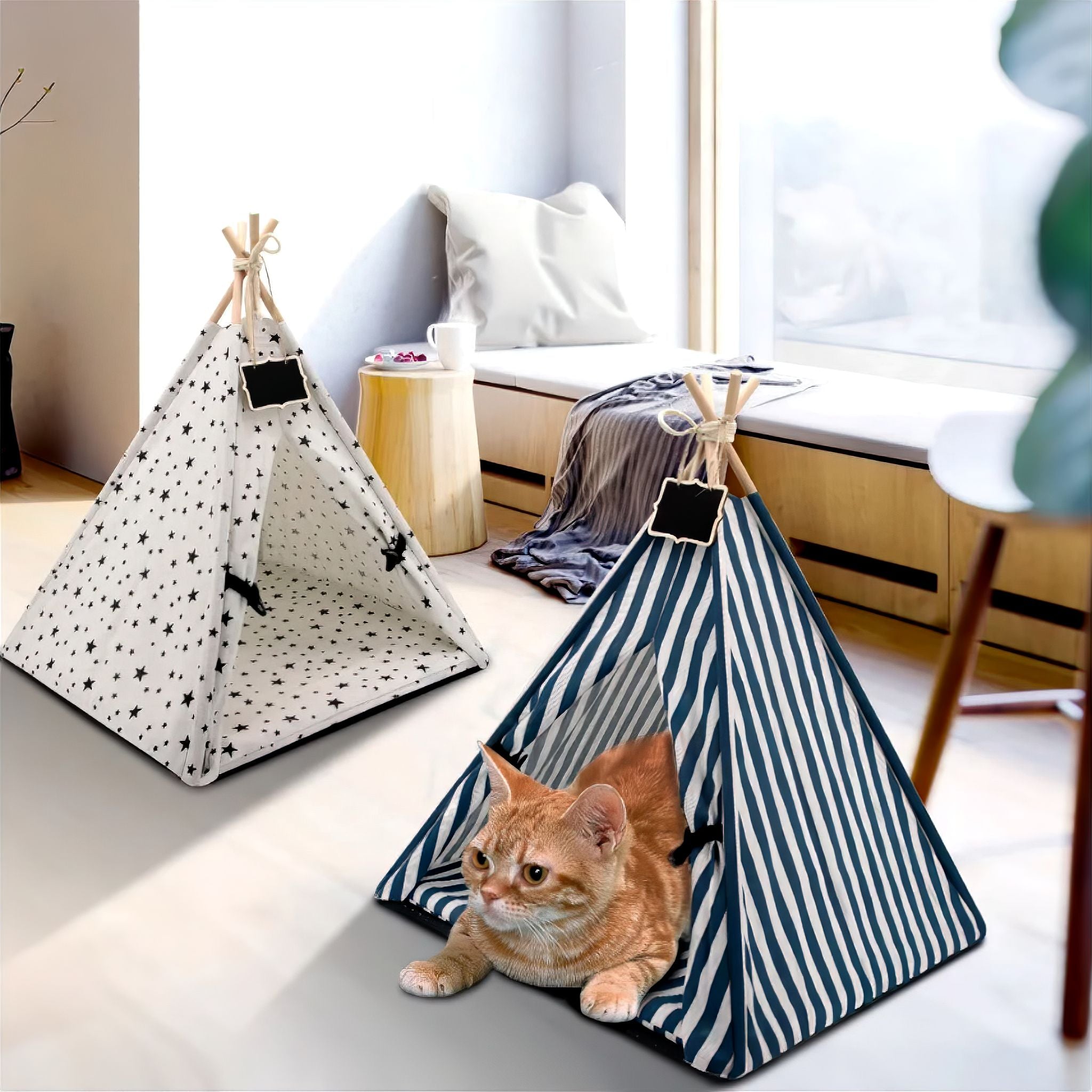 Tabby Tee-Pee