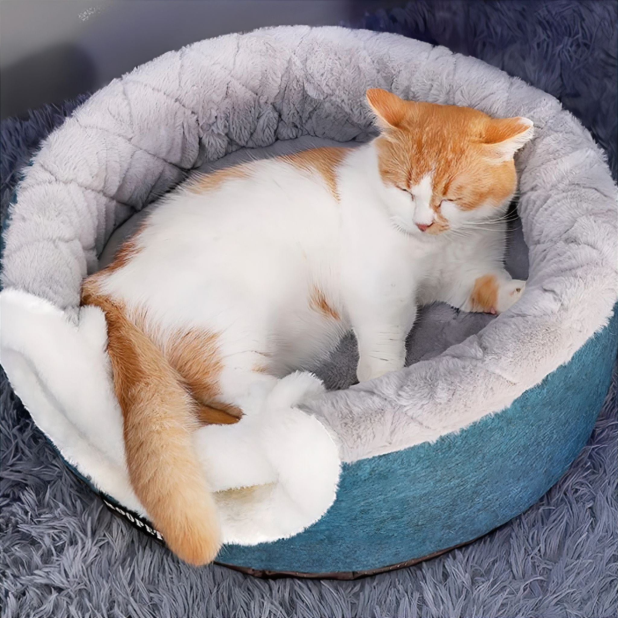 Snuggle Nest pet bed Luxe Pet Store 