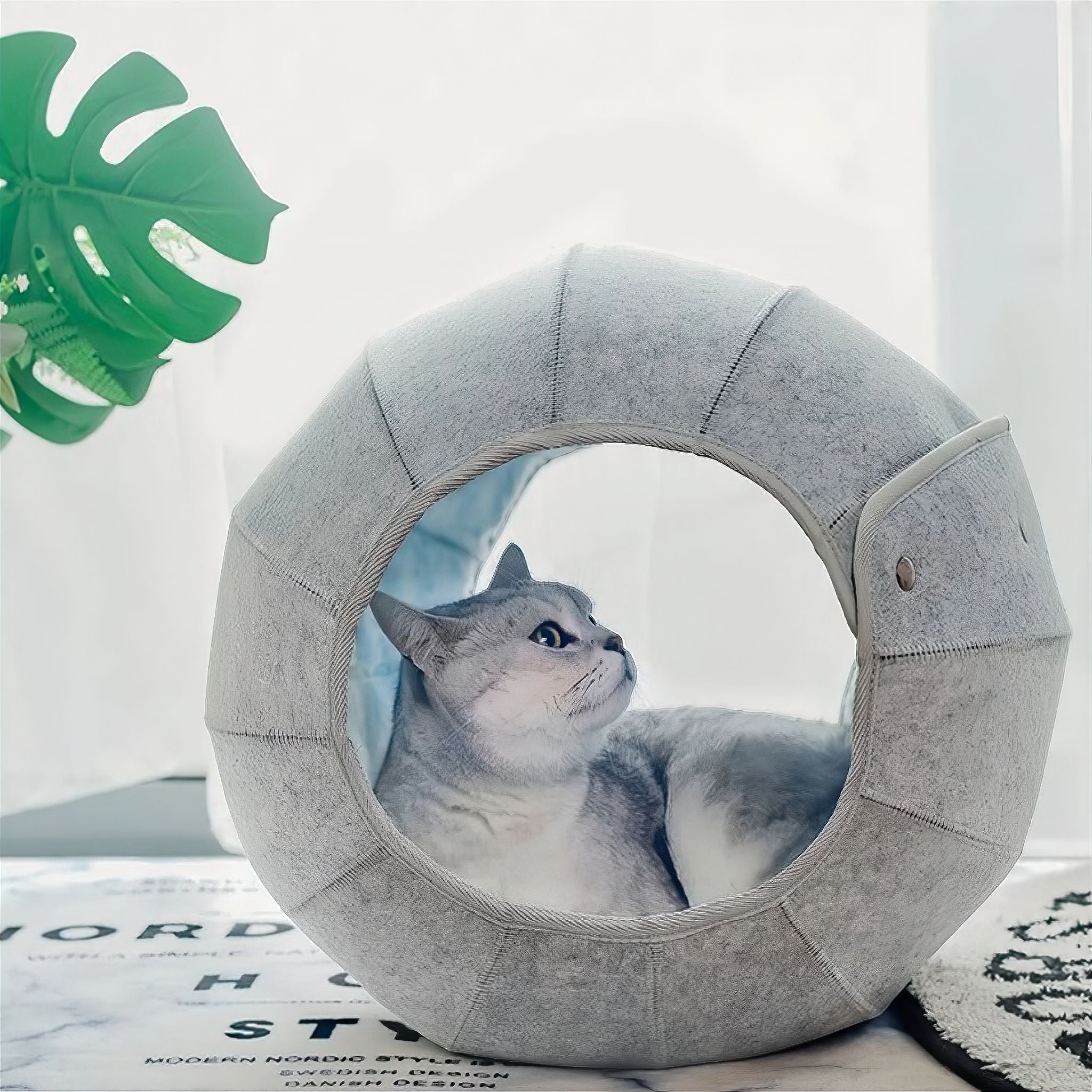 Interactive Cat Tunnel