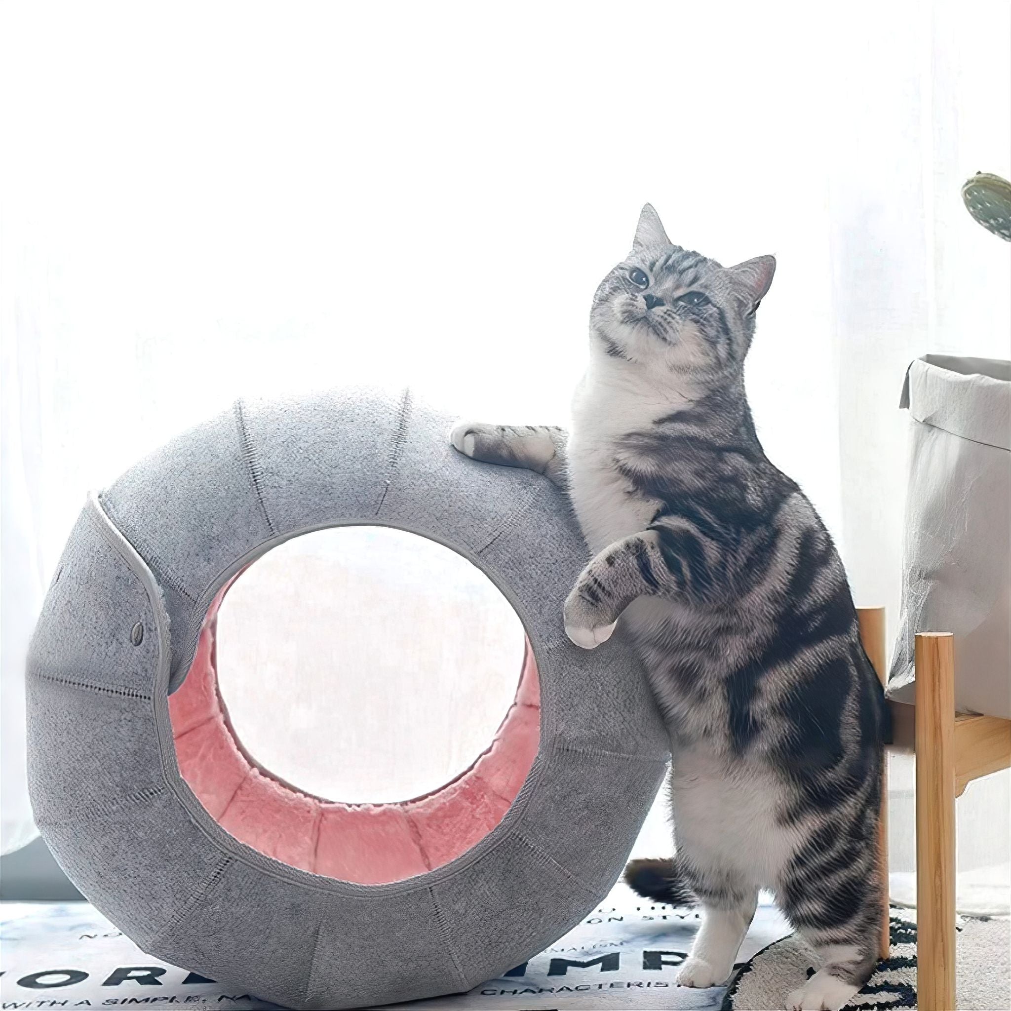 Interactive Cat Tunnel