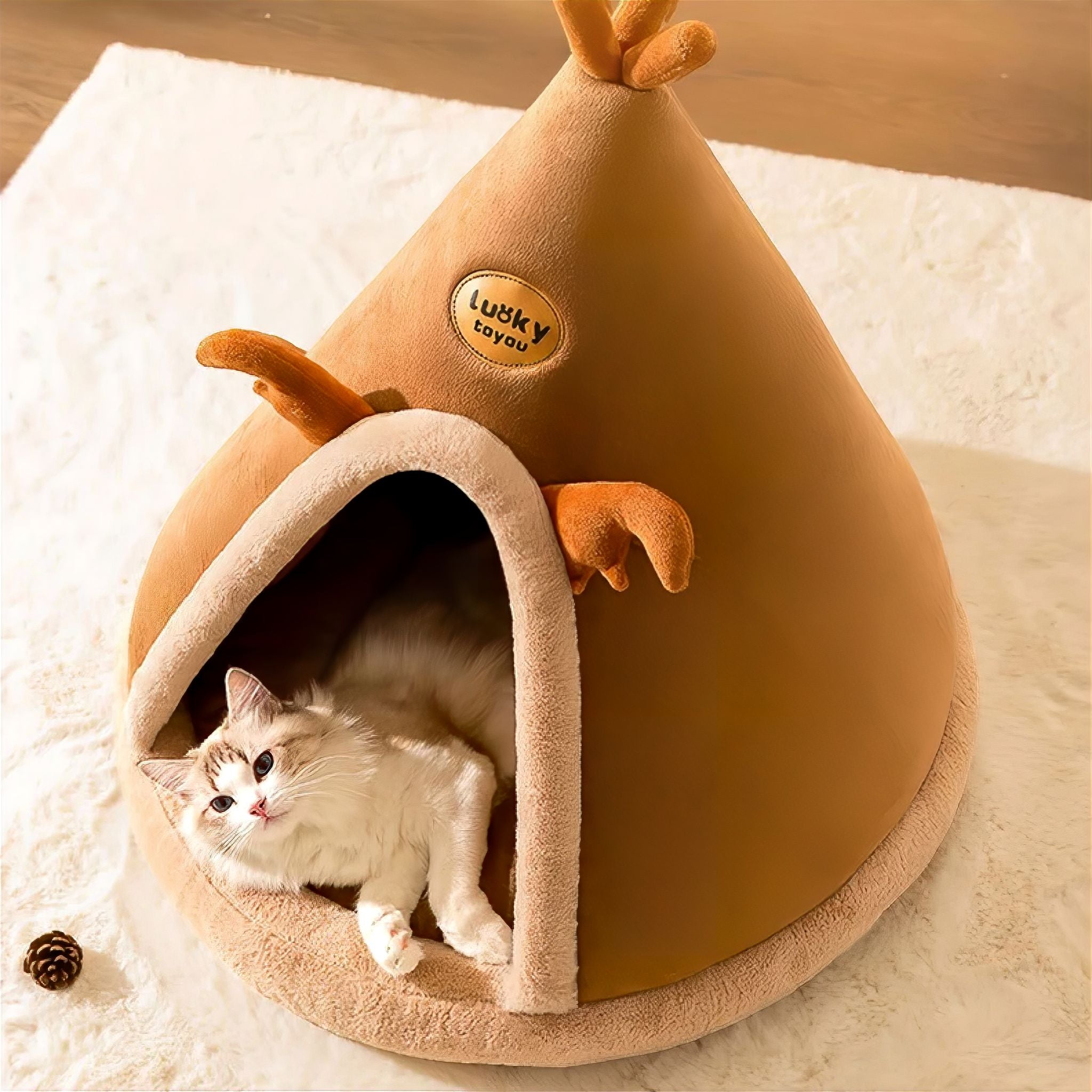 Purr Pod Pet House Luxe Pet Store 