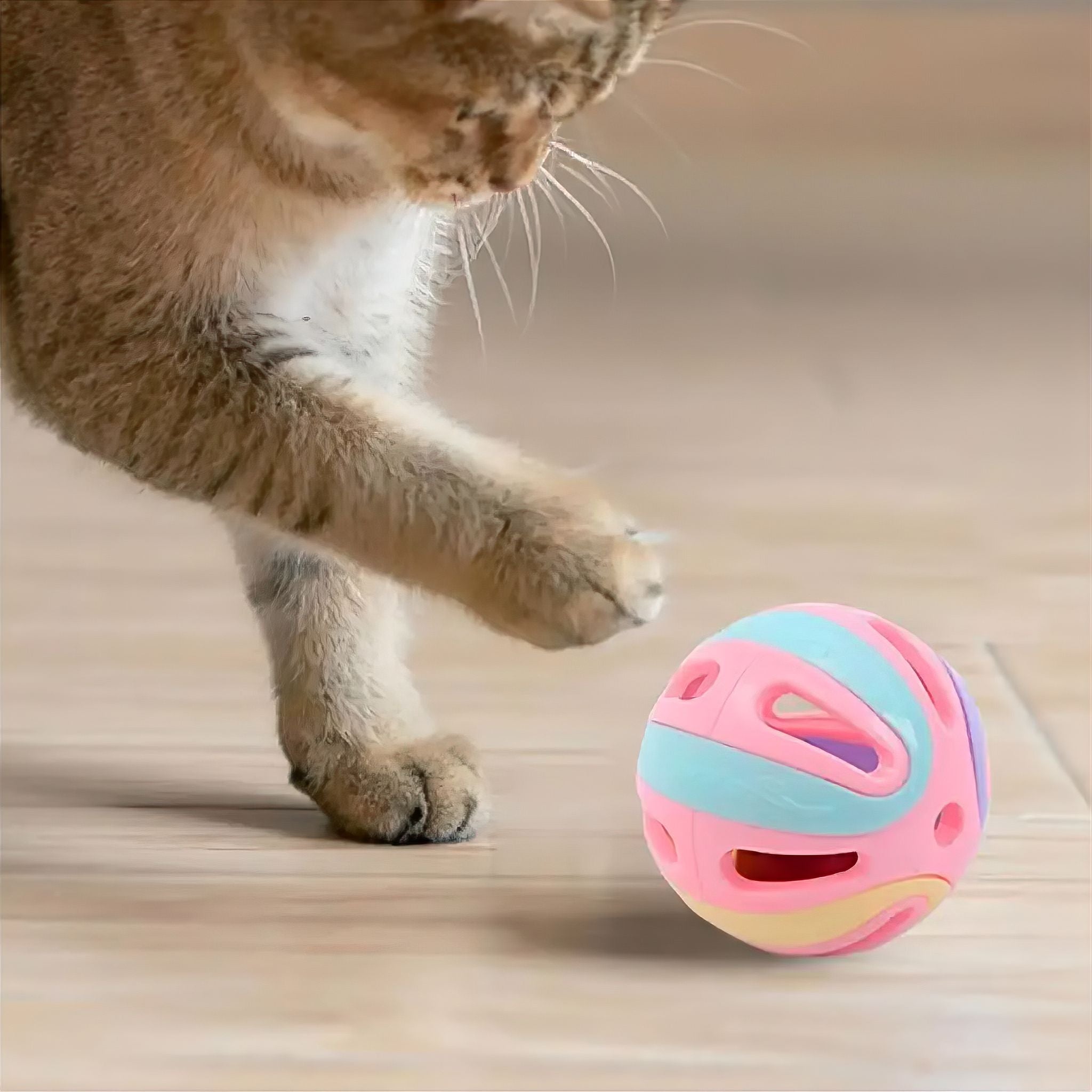 Kitty Bells Cat Toys Luxe Pet Store 