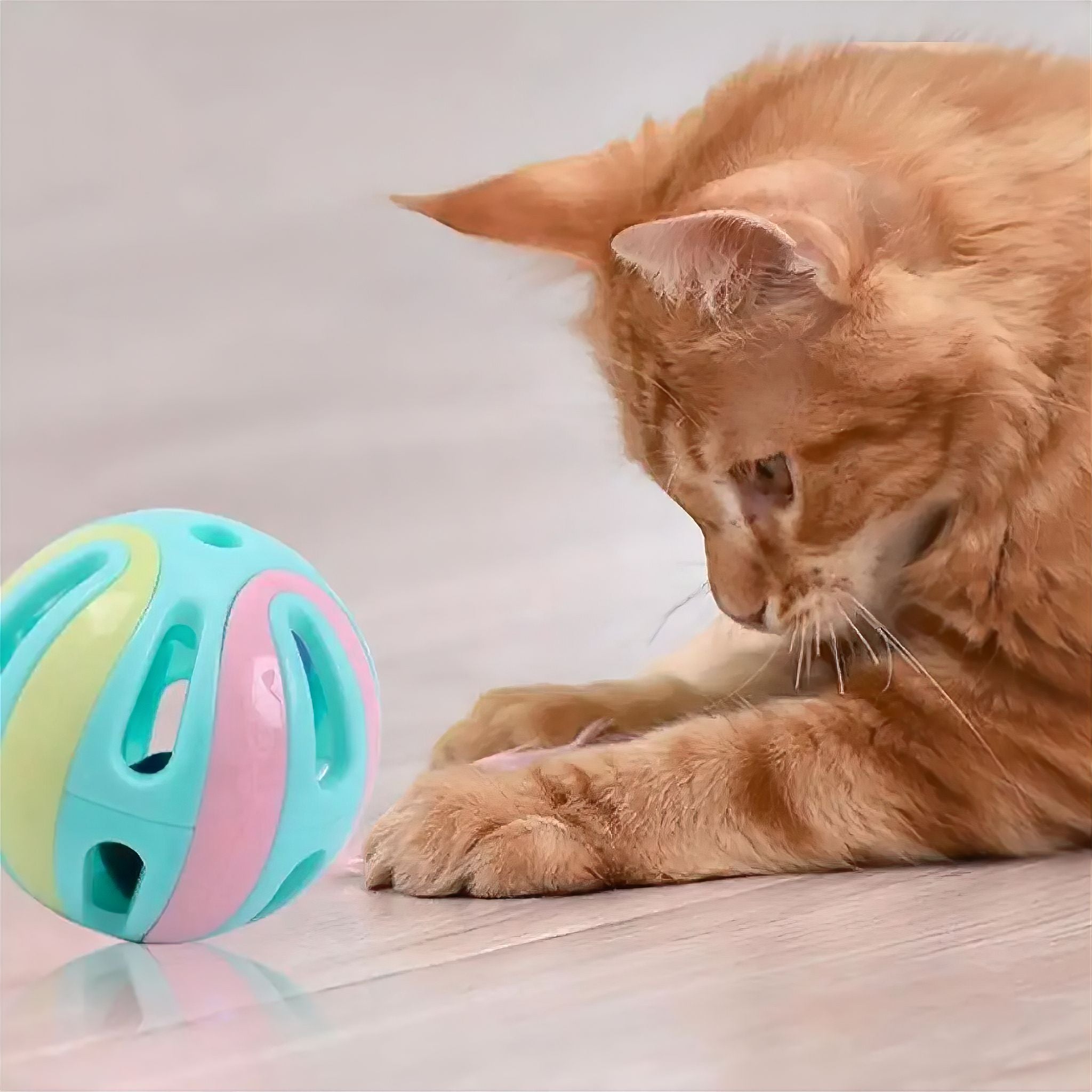 Kitty Bells Cat Toys Luxe Pet Store 