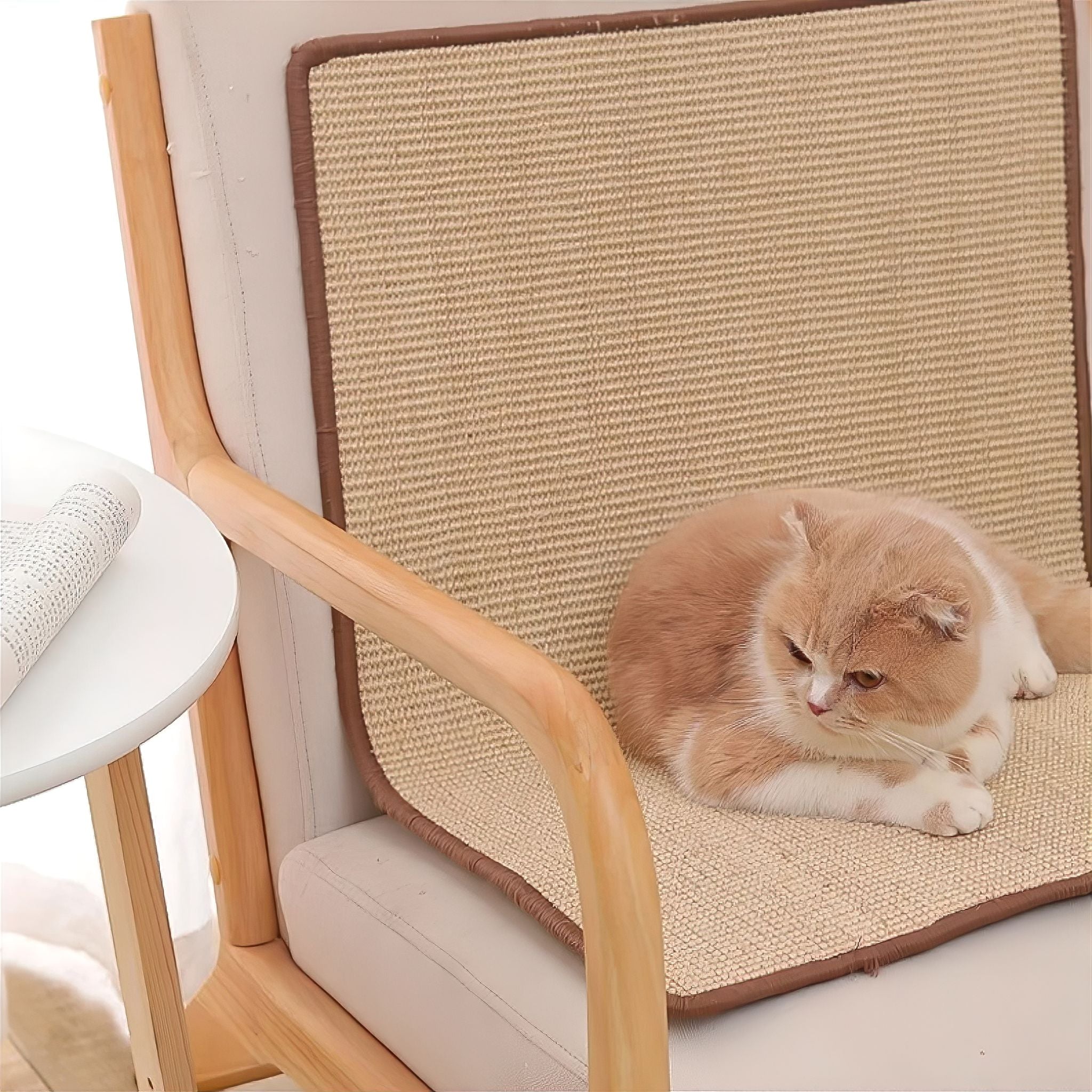 Bamboo Bliss Cat Bed Luxe Pet Store Natural M 