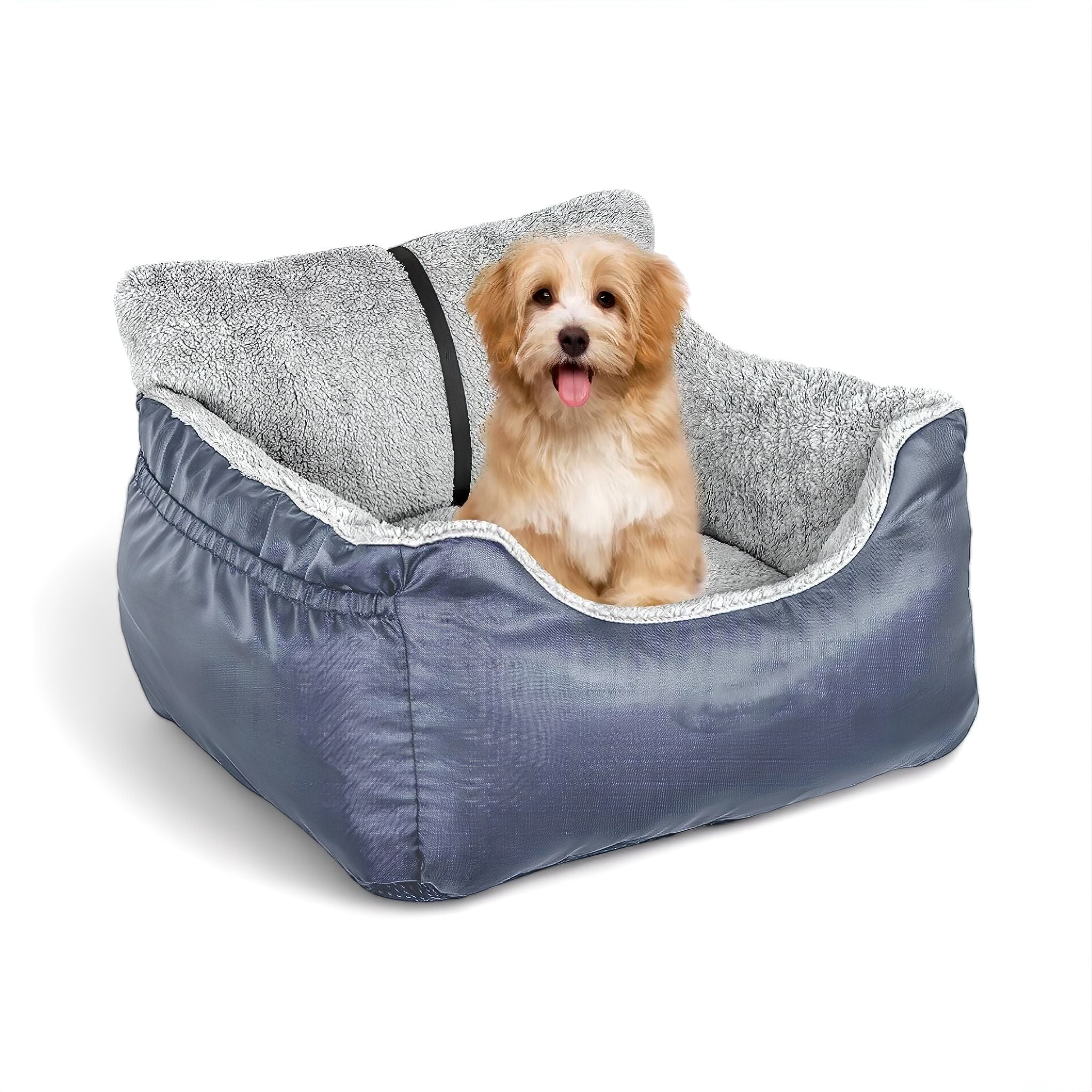 Comfy Cruiser Dog Bed Luxe Pet Store Light Blue 