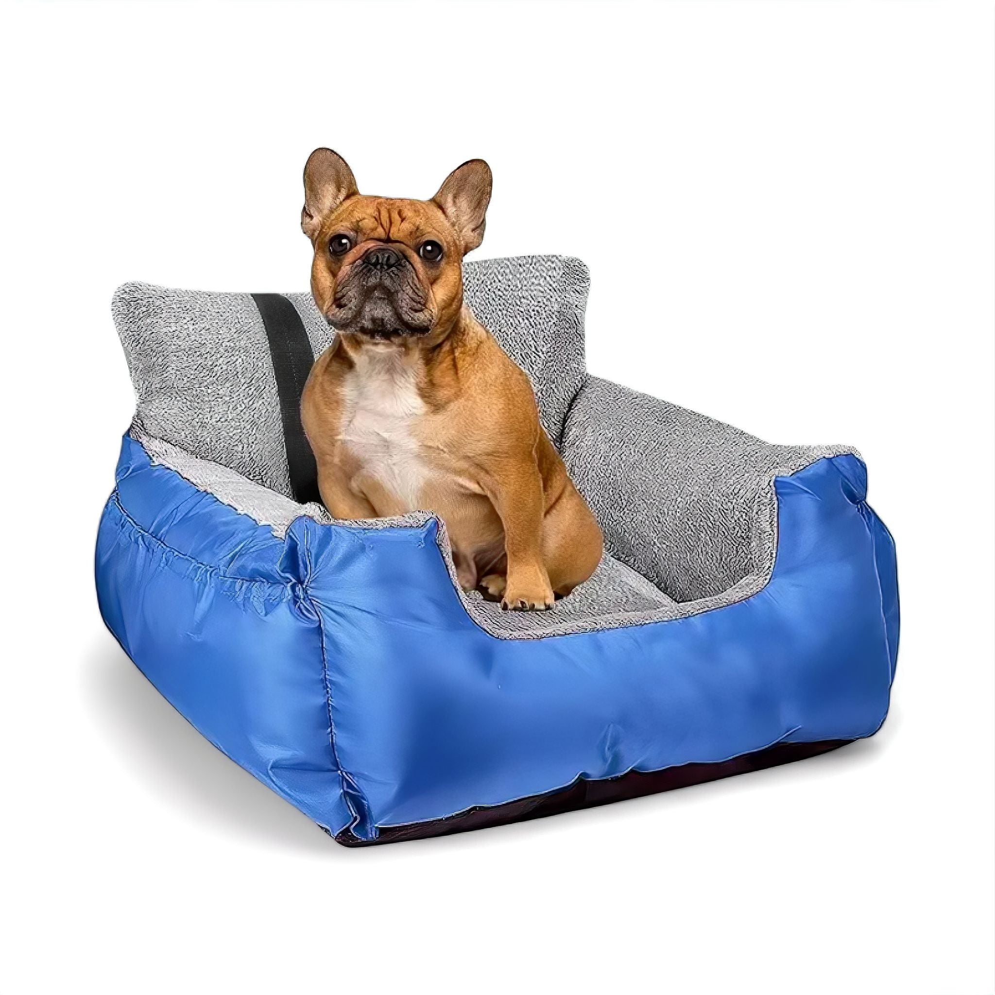 Comfy Cruiser Dog Bed Luxe Pet Store Blue 