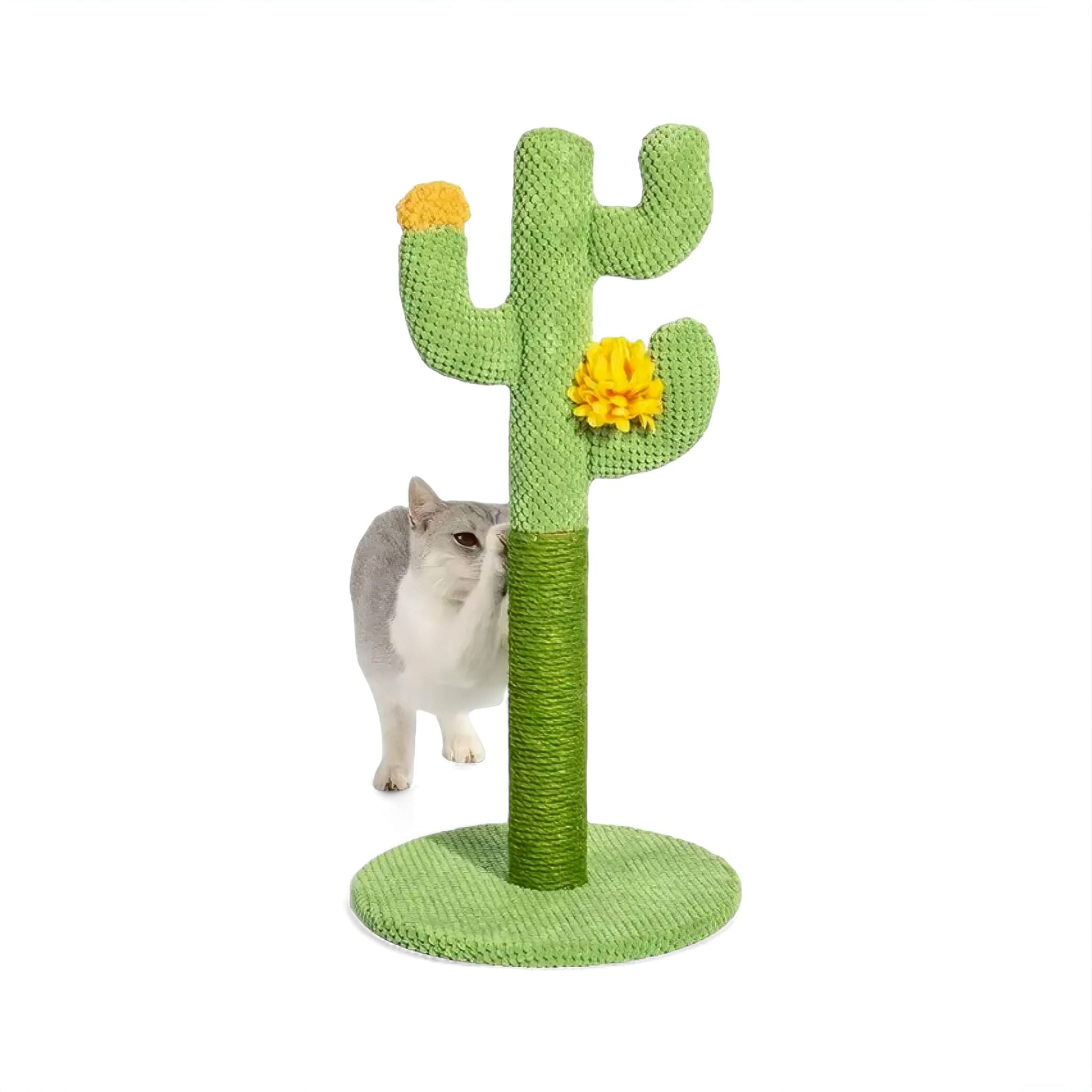 Cactus Scratcher Grinding Paws Cat Scratcher Luxe Pet Store Green 