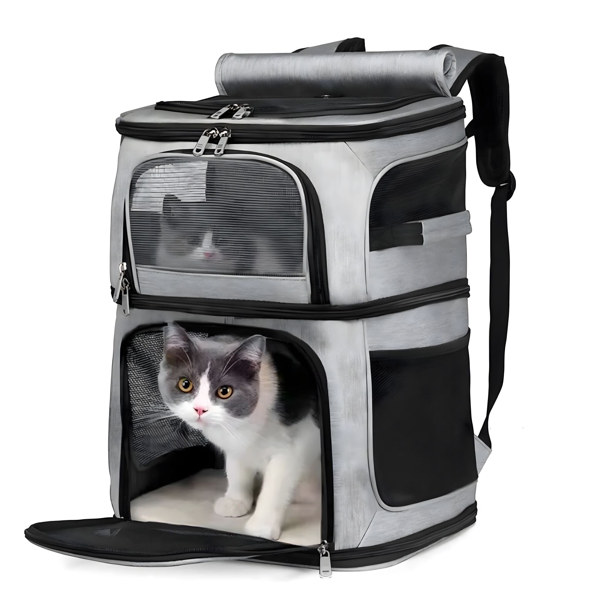 Double Layer Cat Backpack Cat Backpack USAdrop 