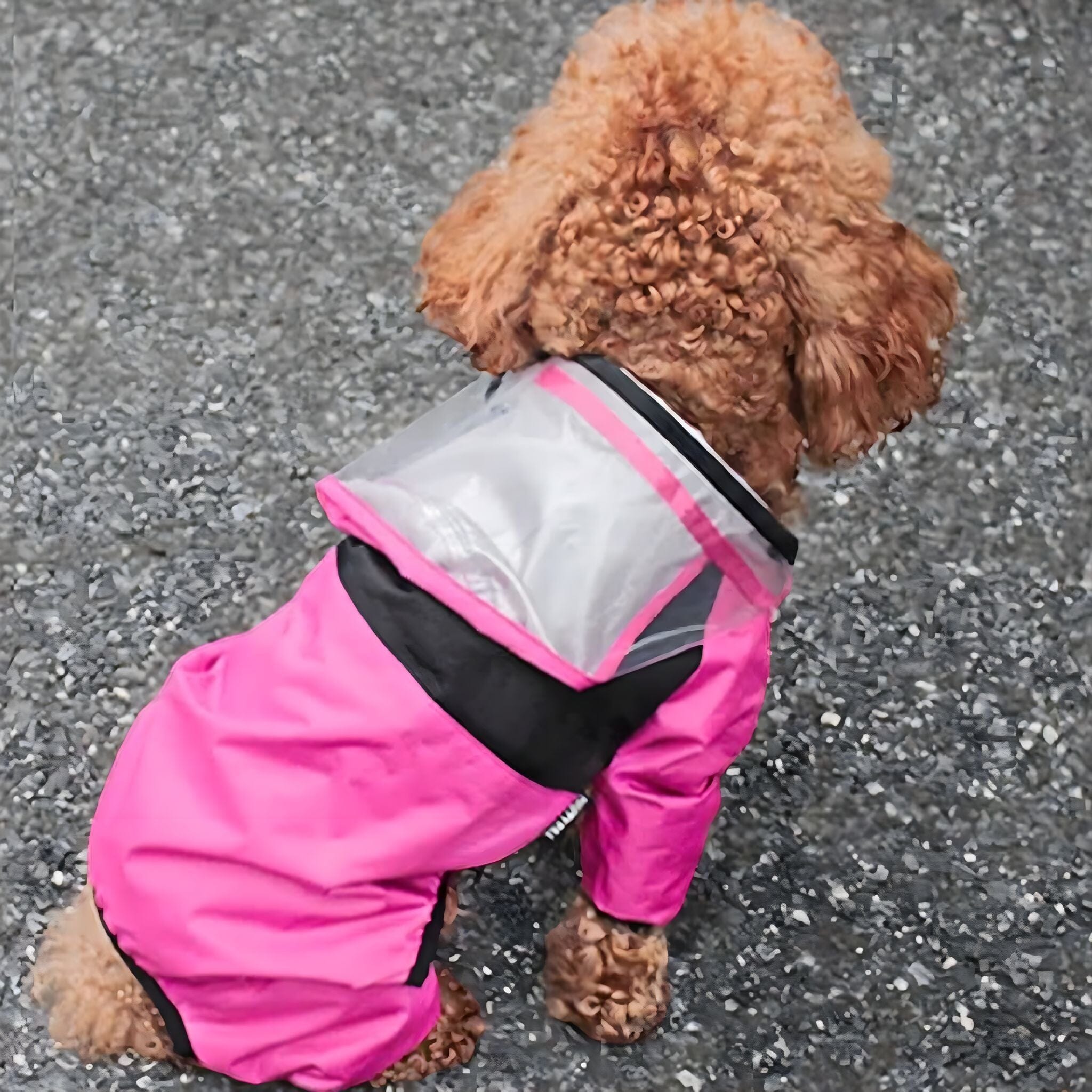 Water Resistant Dog Coat Pet Clothing USAdrop 