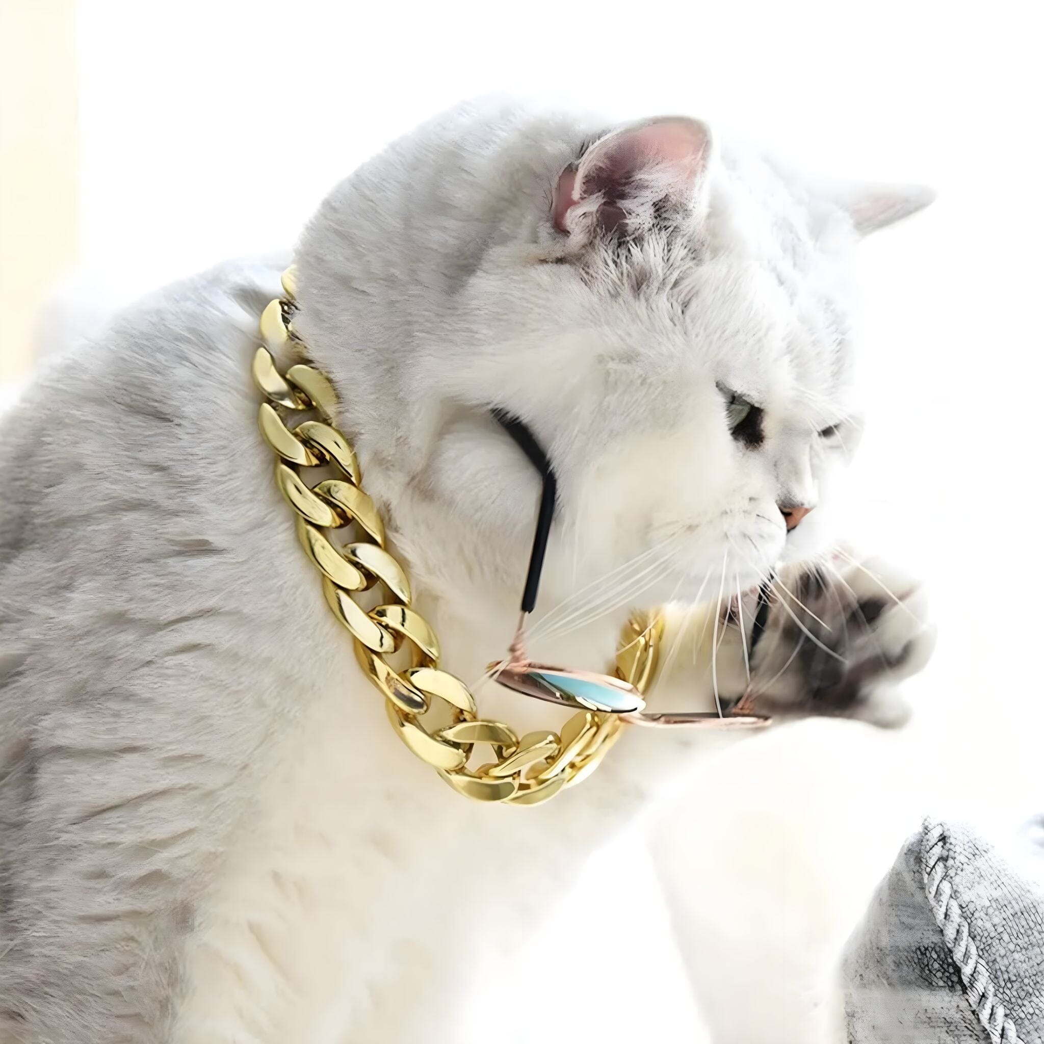 Hip Hop Pet Collar Hip Hop Pet Collar USAdrop 