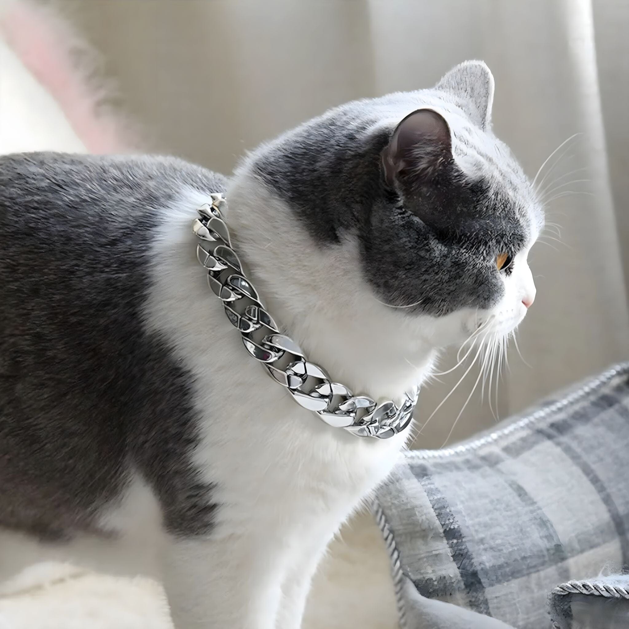 Hip Hop Pet Collar Hip Hop Pet Collar USAdrop 