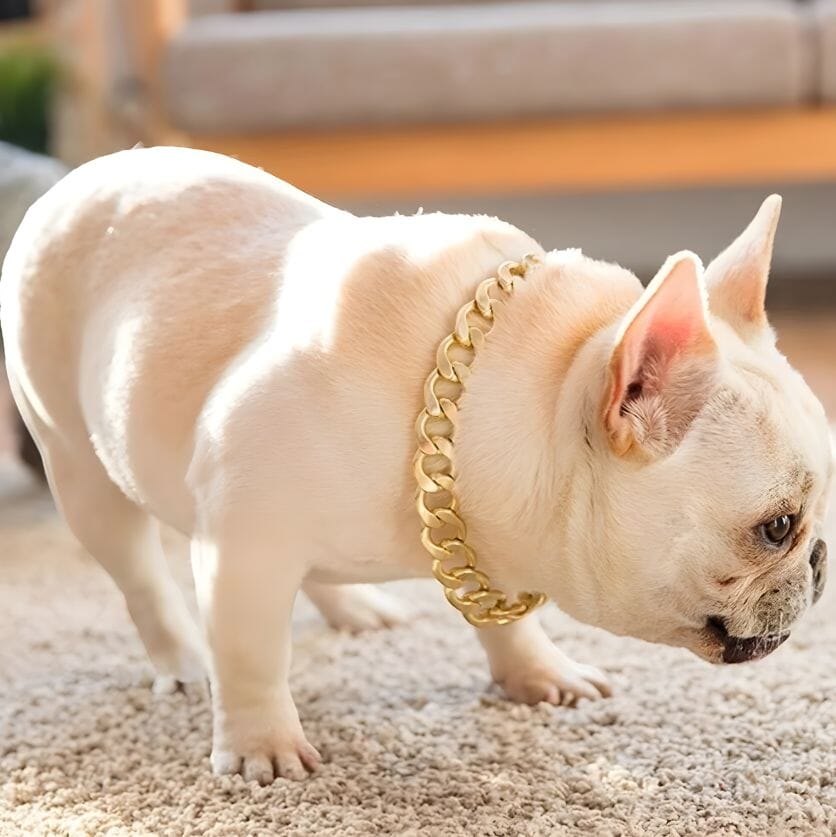 Paw Ritz Fashion Pet Chain Pet Collar USAdrop 