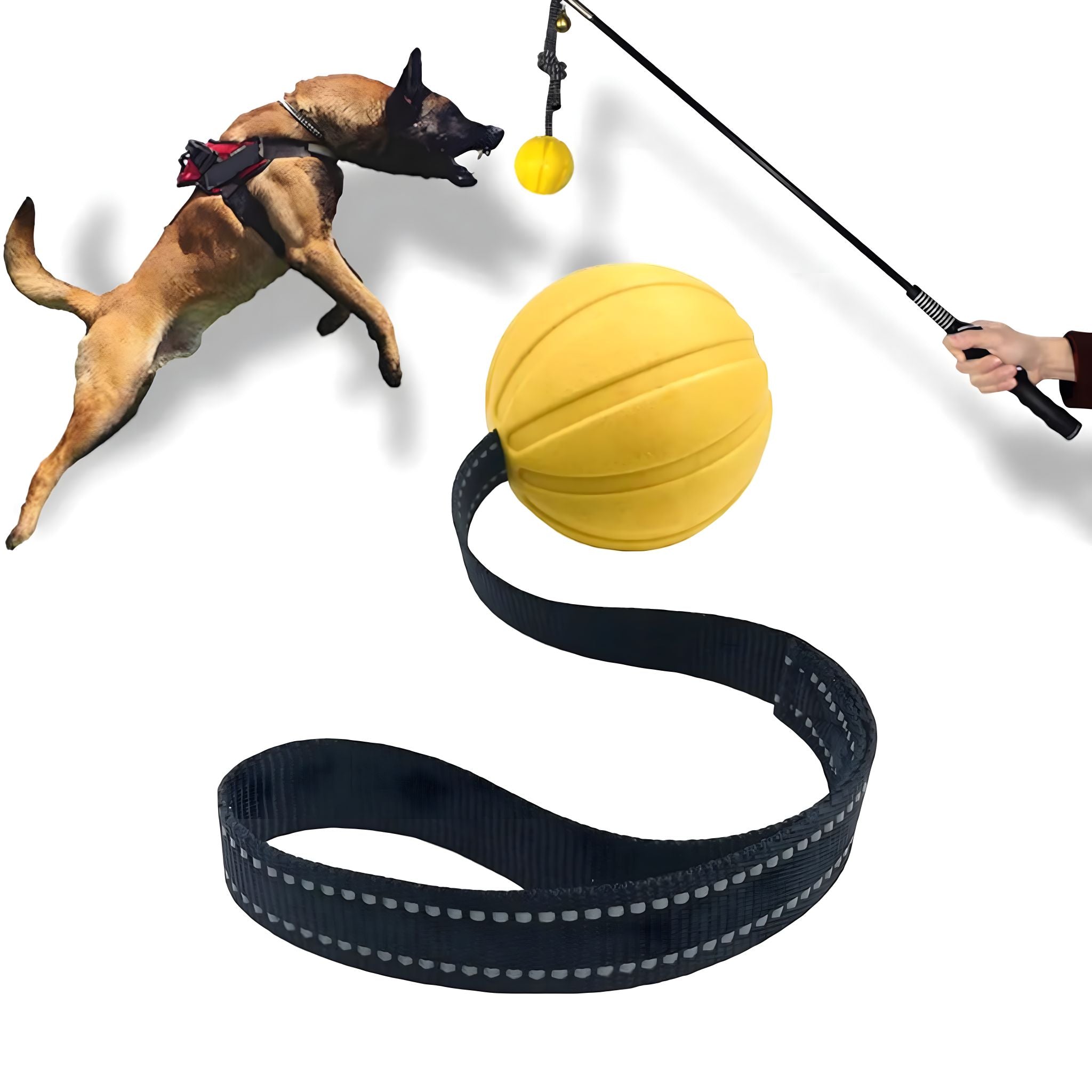 Tug of War Toy Dog Toy Luxe Pet Store 