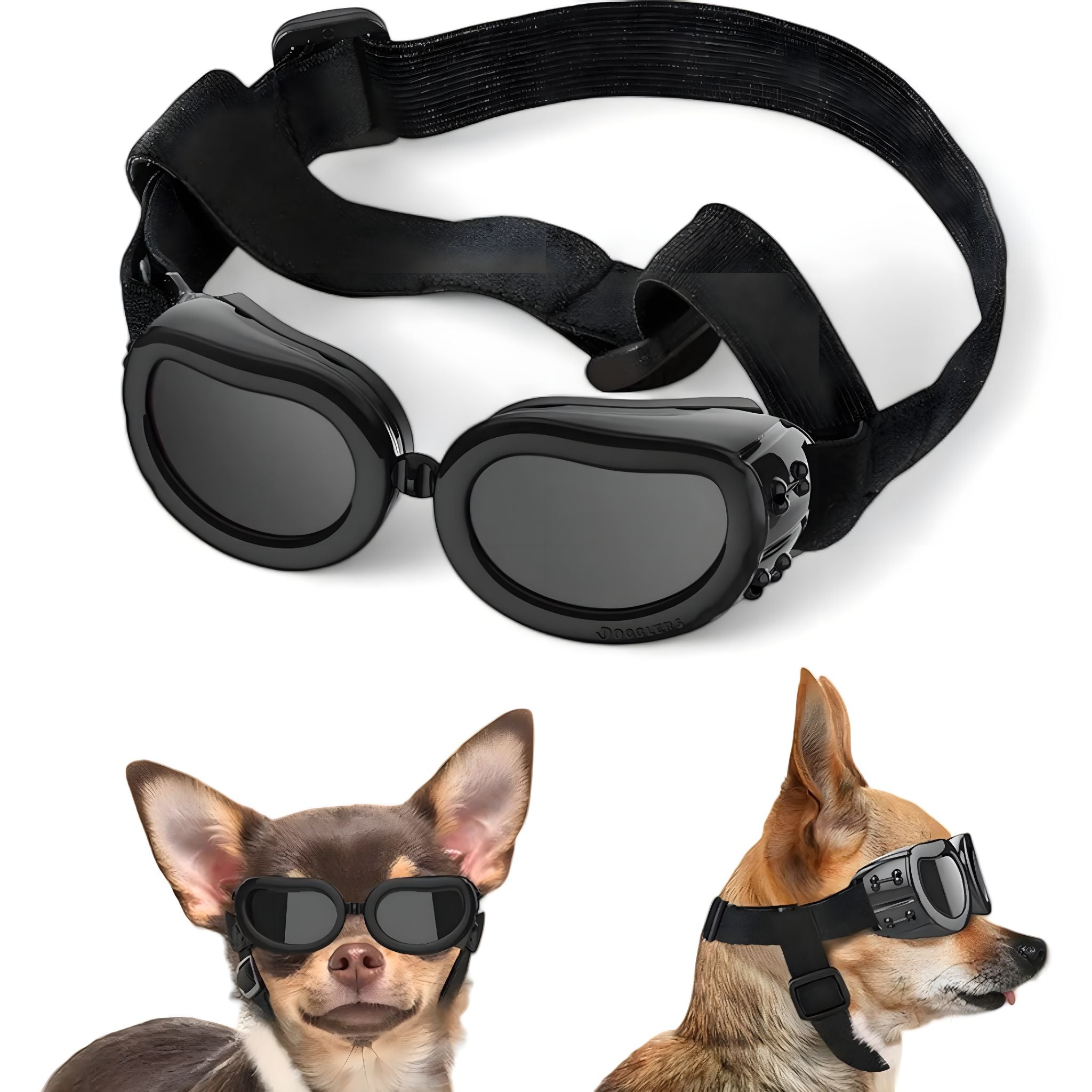 Pup Eyewear