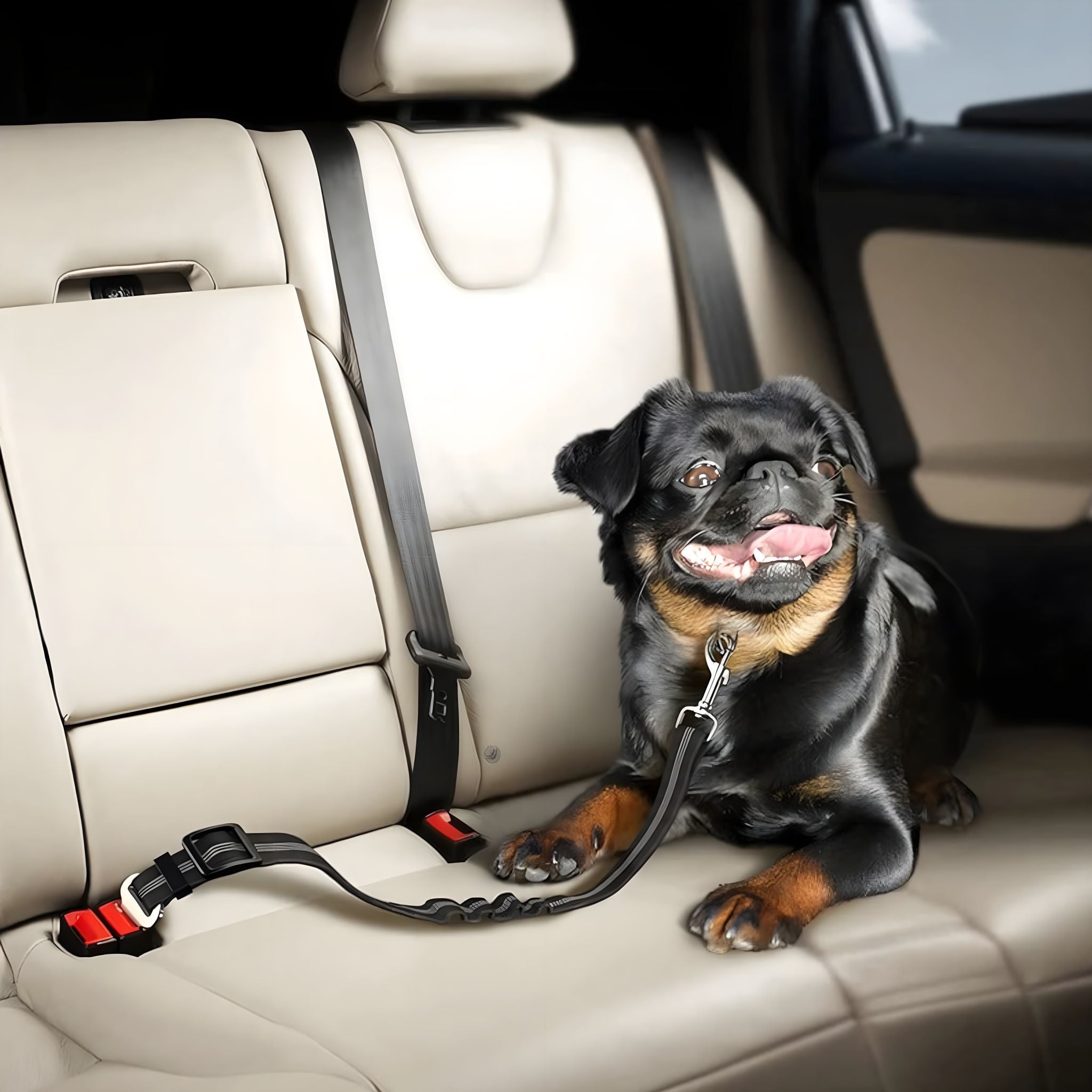 Pet Seat Belt