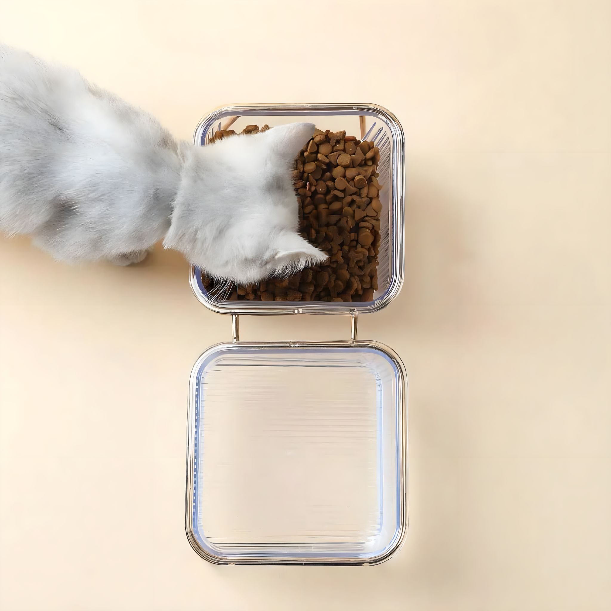 Elevated Delight Pet Bowl