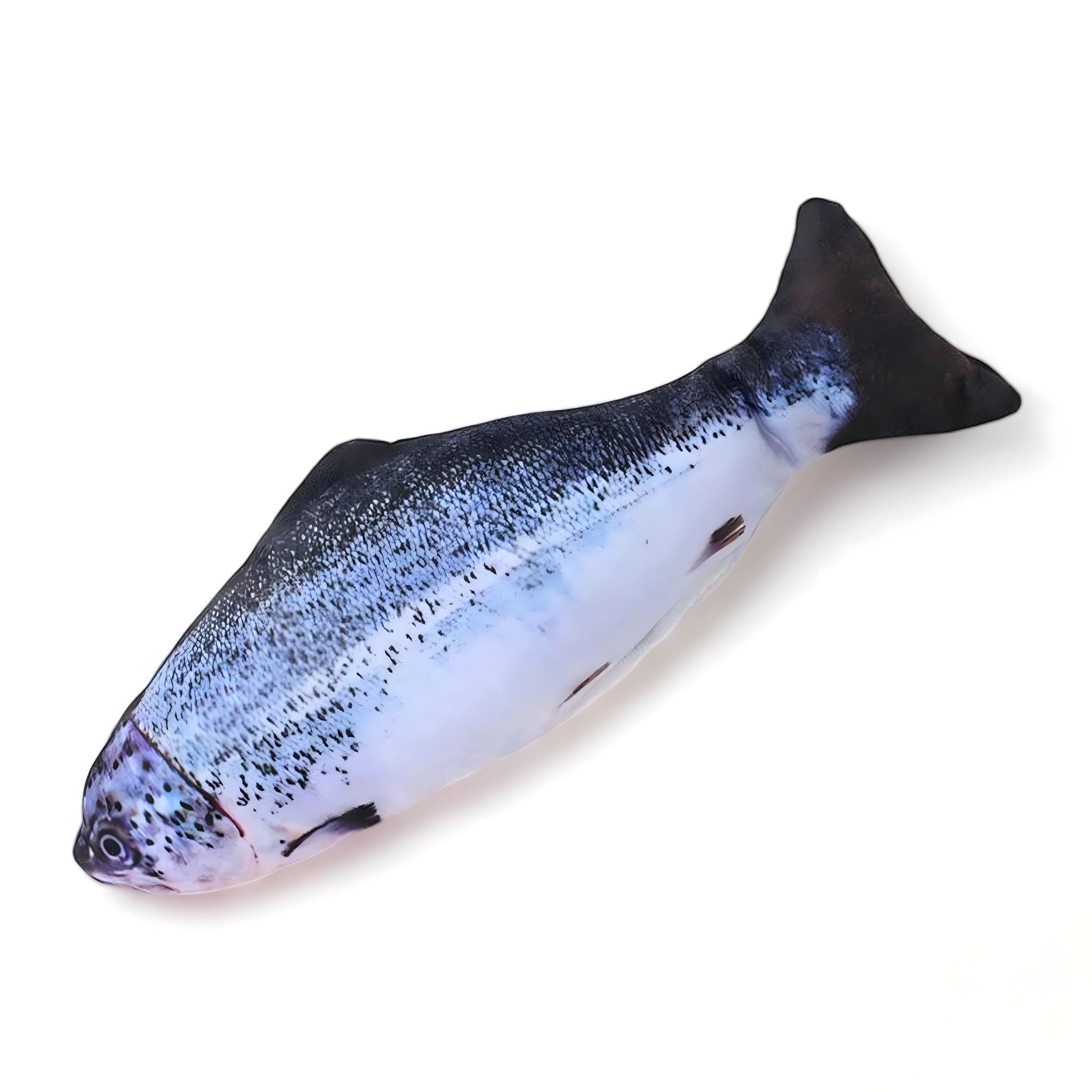 Floppy Fish Pet Toy pet Toys Luxe Pet Store Salmon 