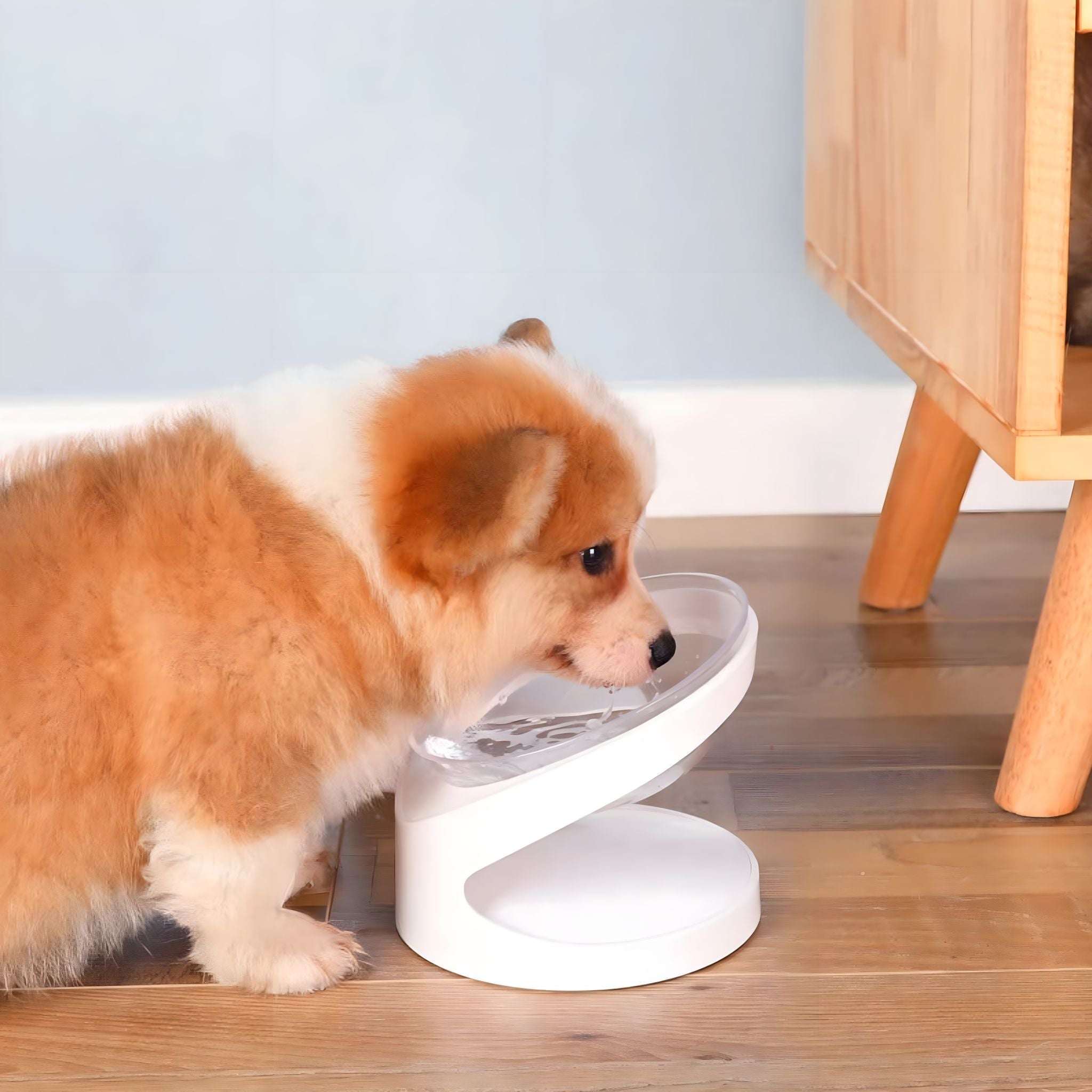 Friendly Food Bowl cat bowl Luxe Pet Store 