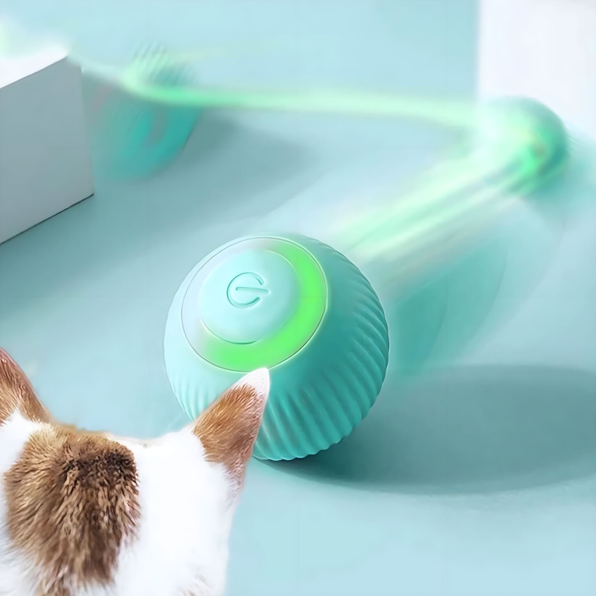 Rolli Purr Interactive Pet Ball USAdrop 