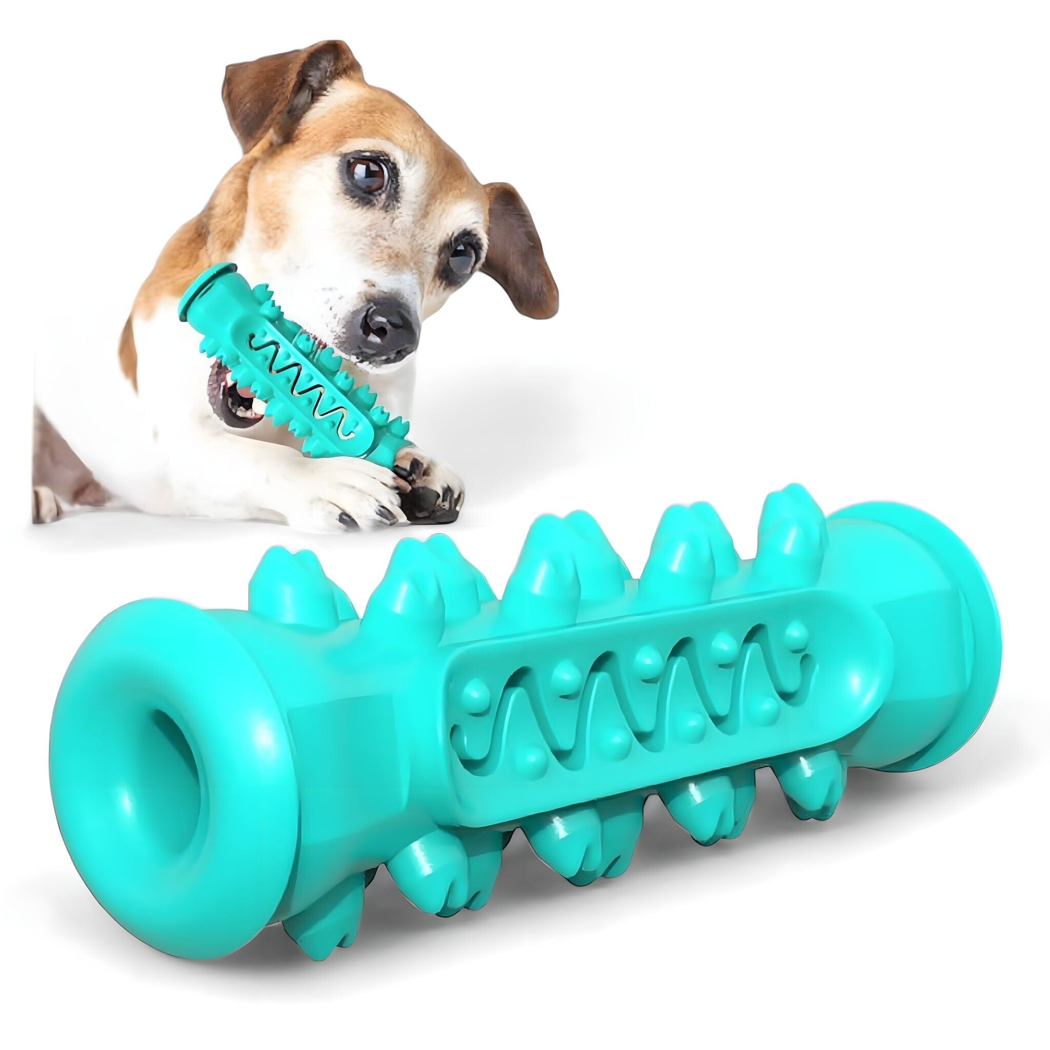 Puppy Chews & Smiles Dog Toy USAdrop Aqua 