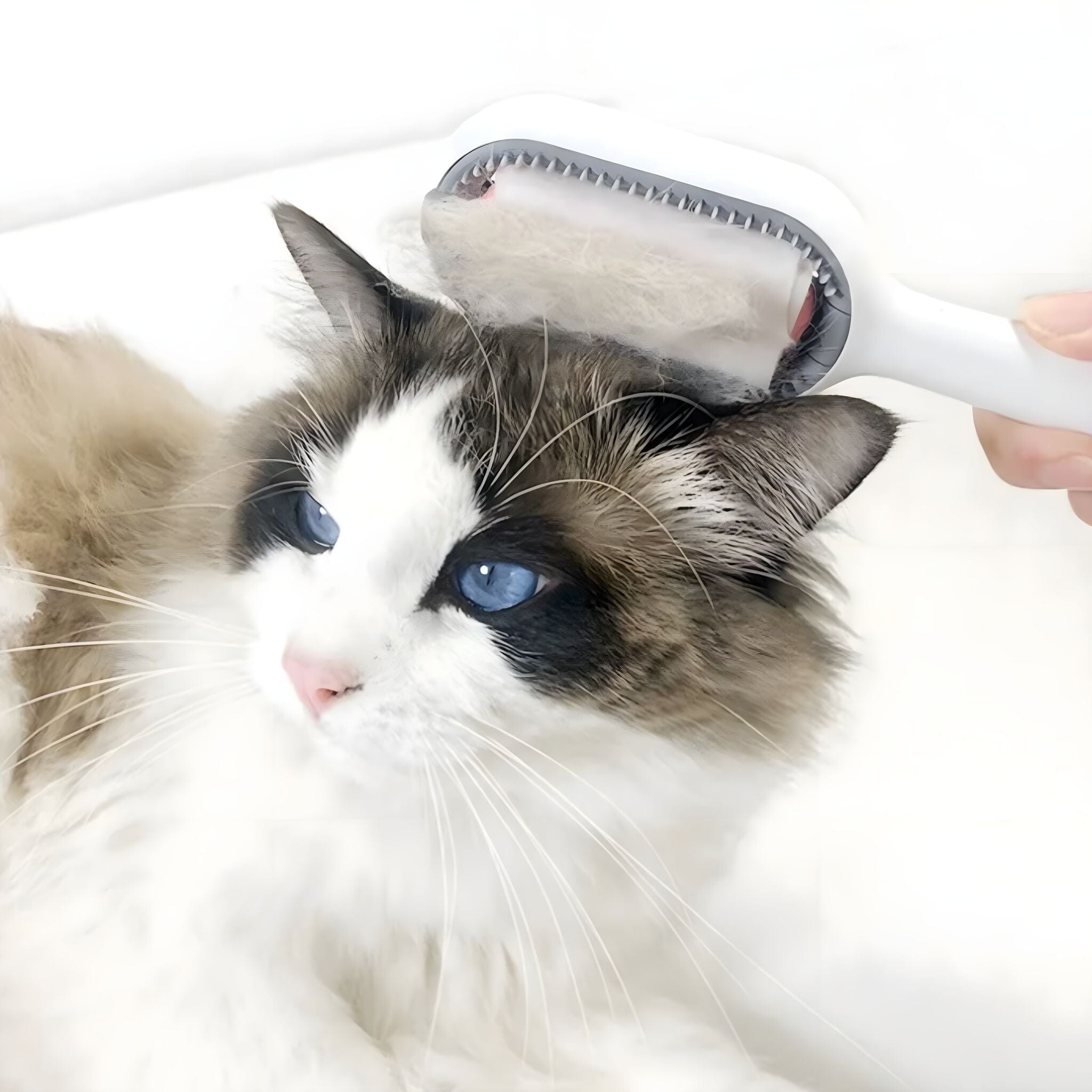 Hydro Groom Dual-Action Pet Comb cat care USAdrop 