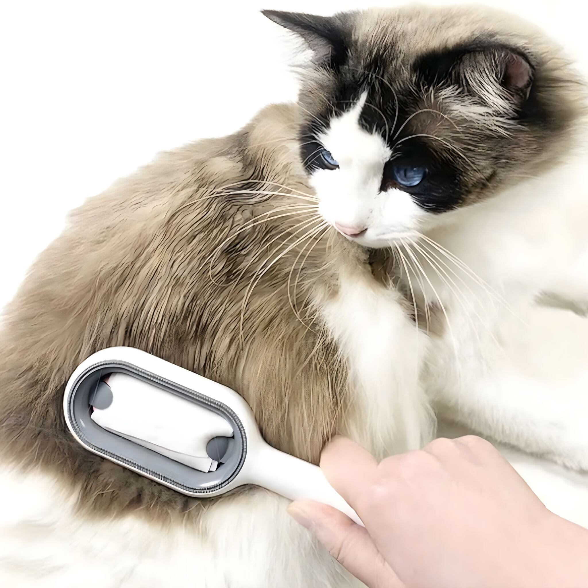 Hydro Groom Dual-Action Pet Comb cat care USAdrop 