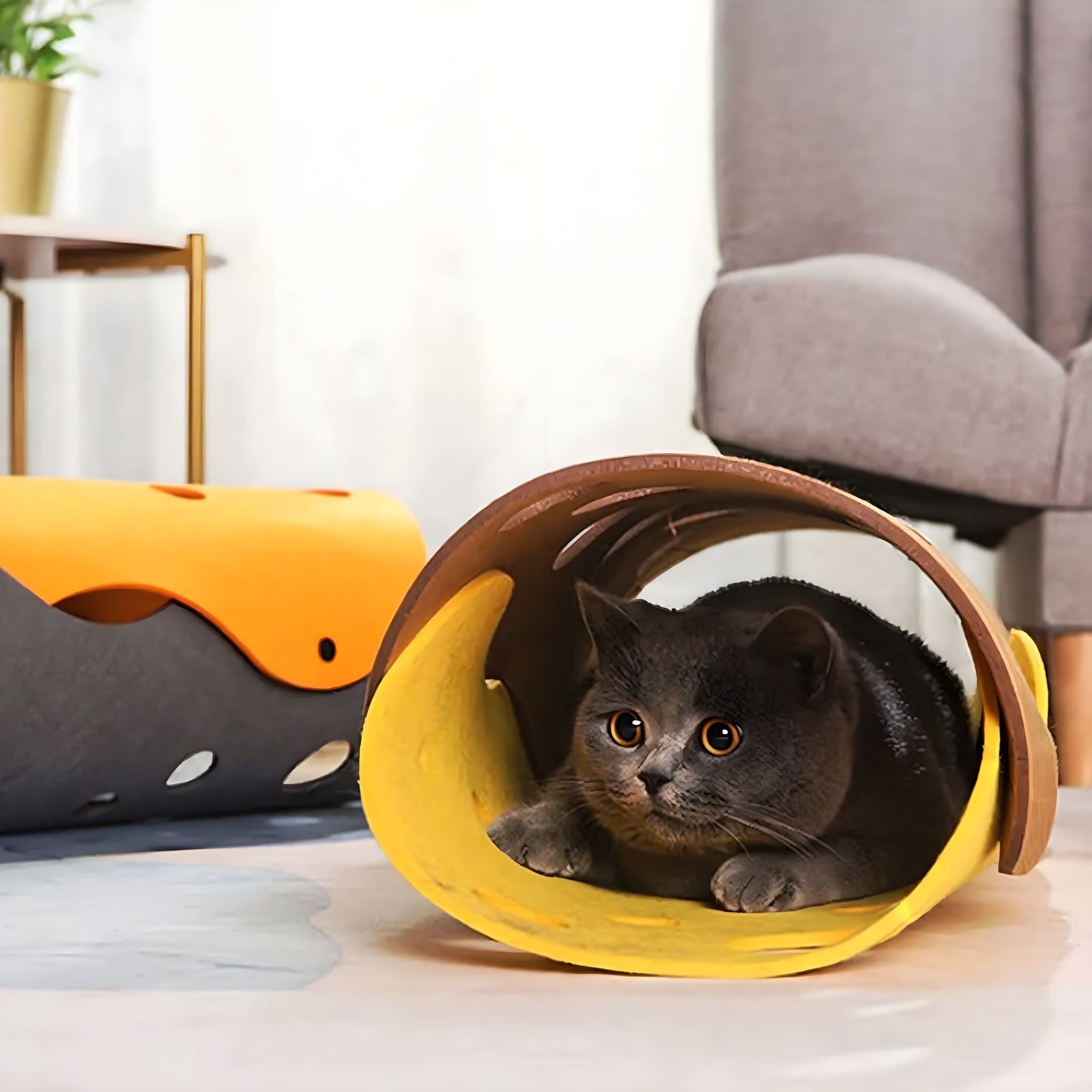 Foldable Cat Tunnel Bed 