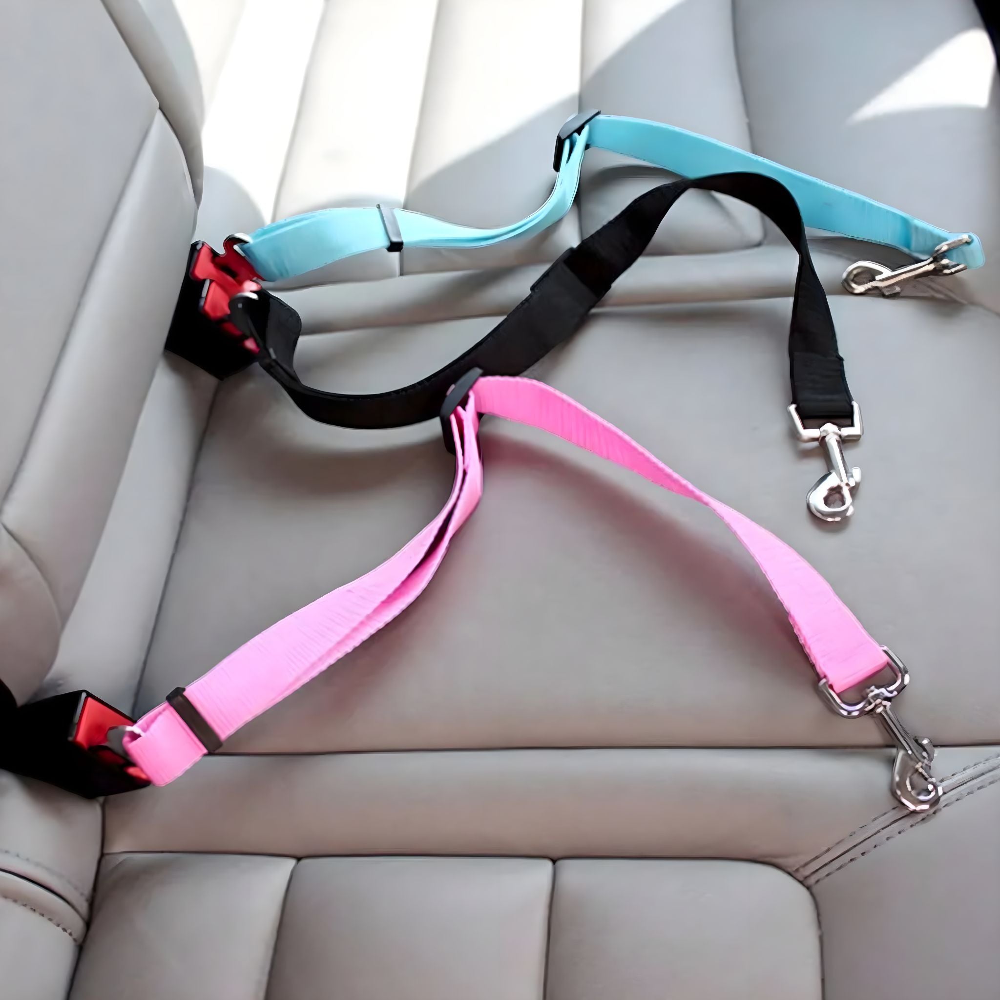 Safe Strap Pet Harness