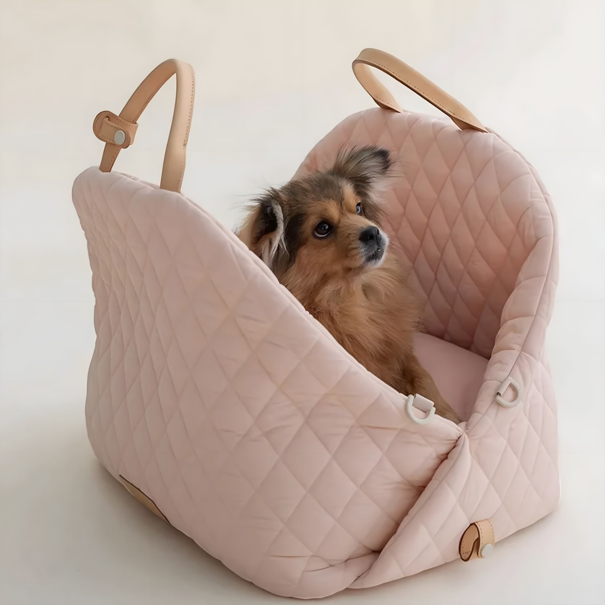 Pawfect Travel Carrier