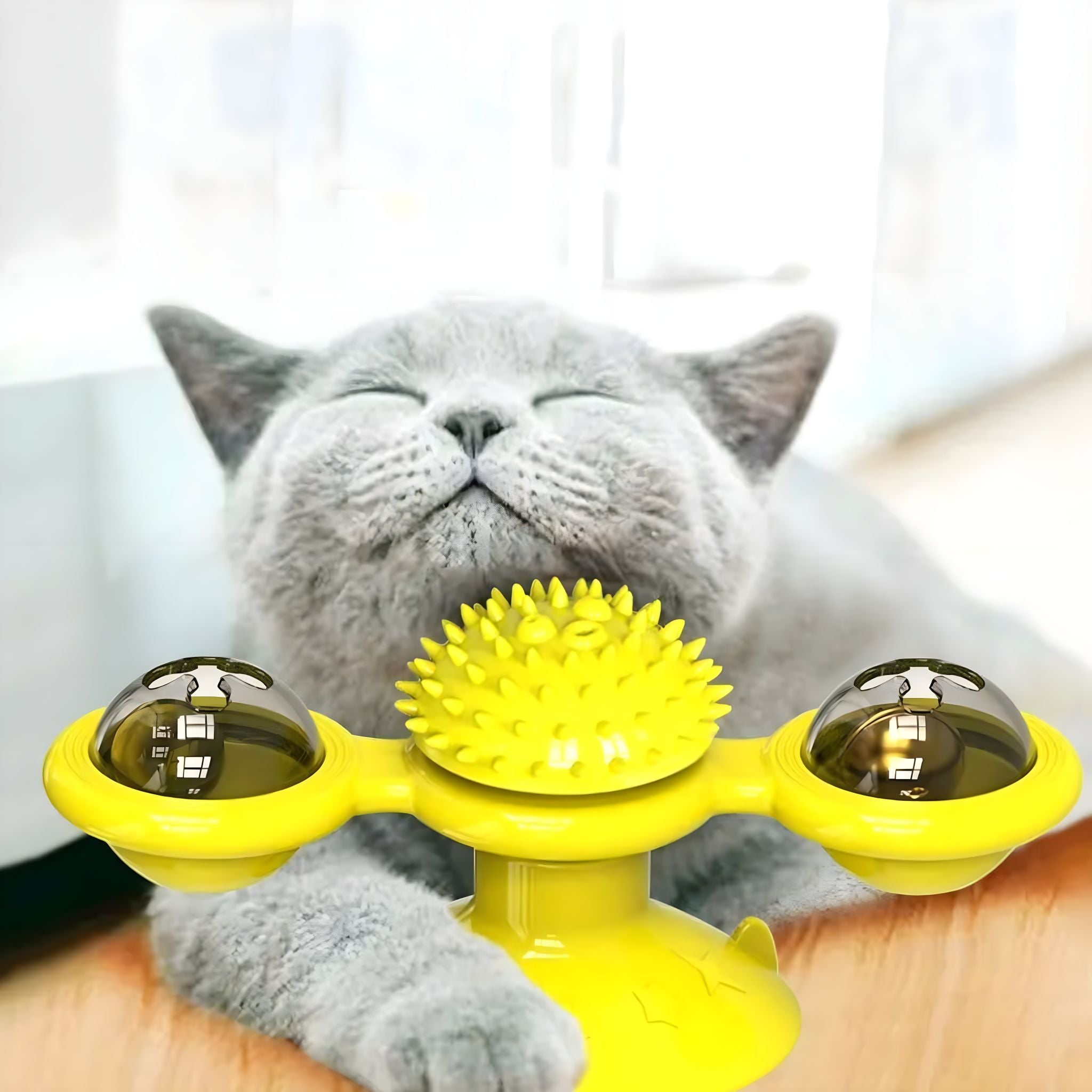 Whisker Spin Puzzle Play Cat Toy Luxe Pet Store 