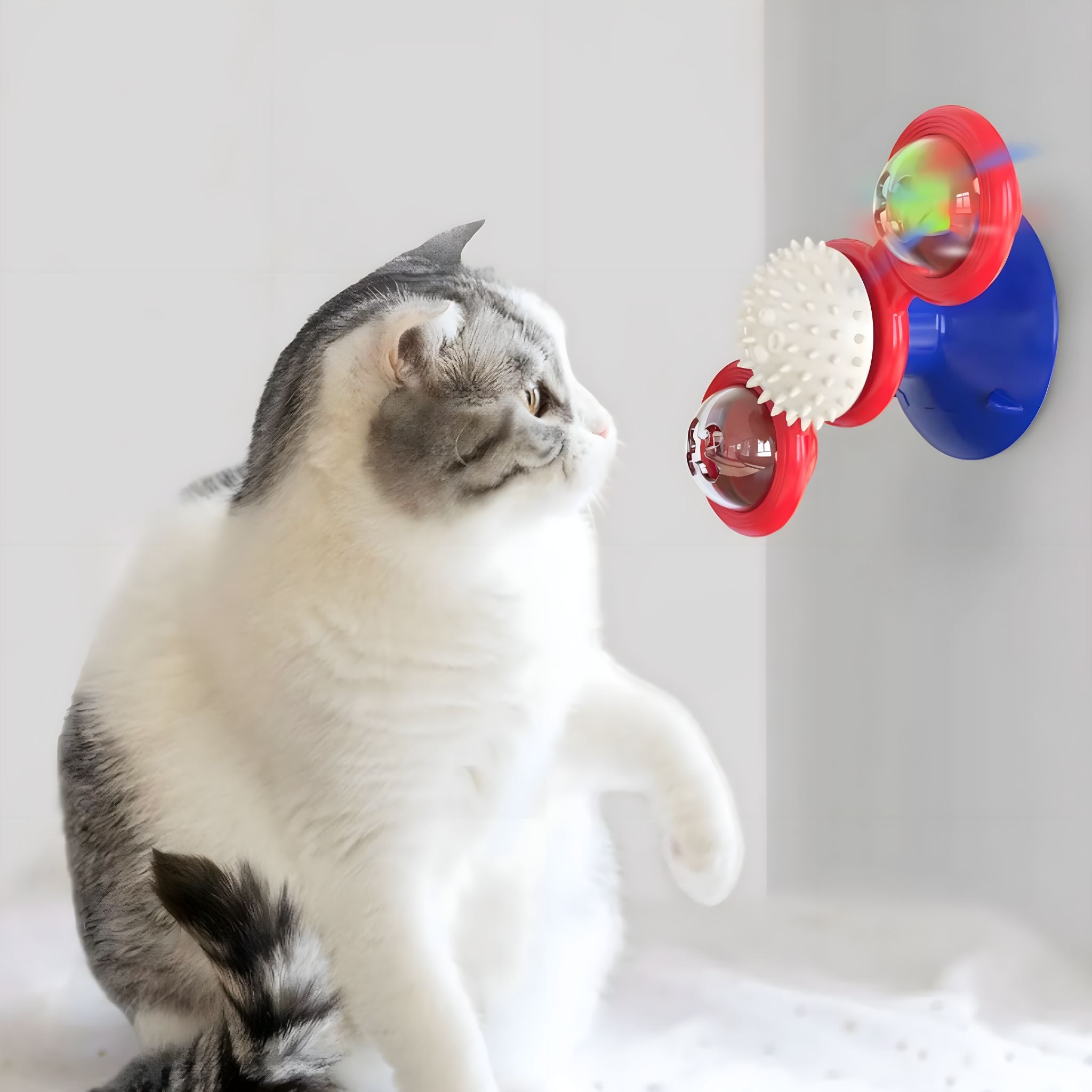 Whisker Spin Puzzle Play