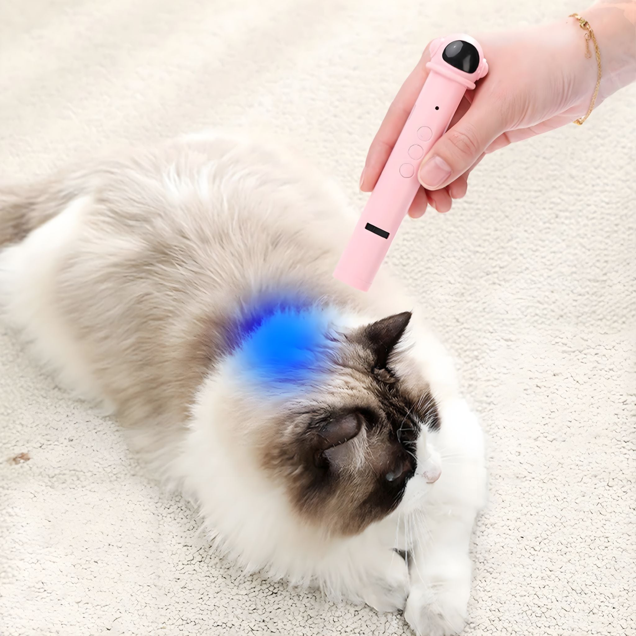 Kitty Laser