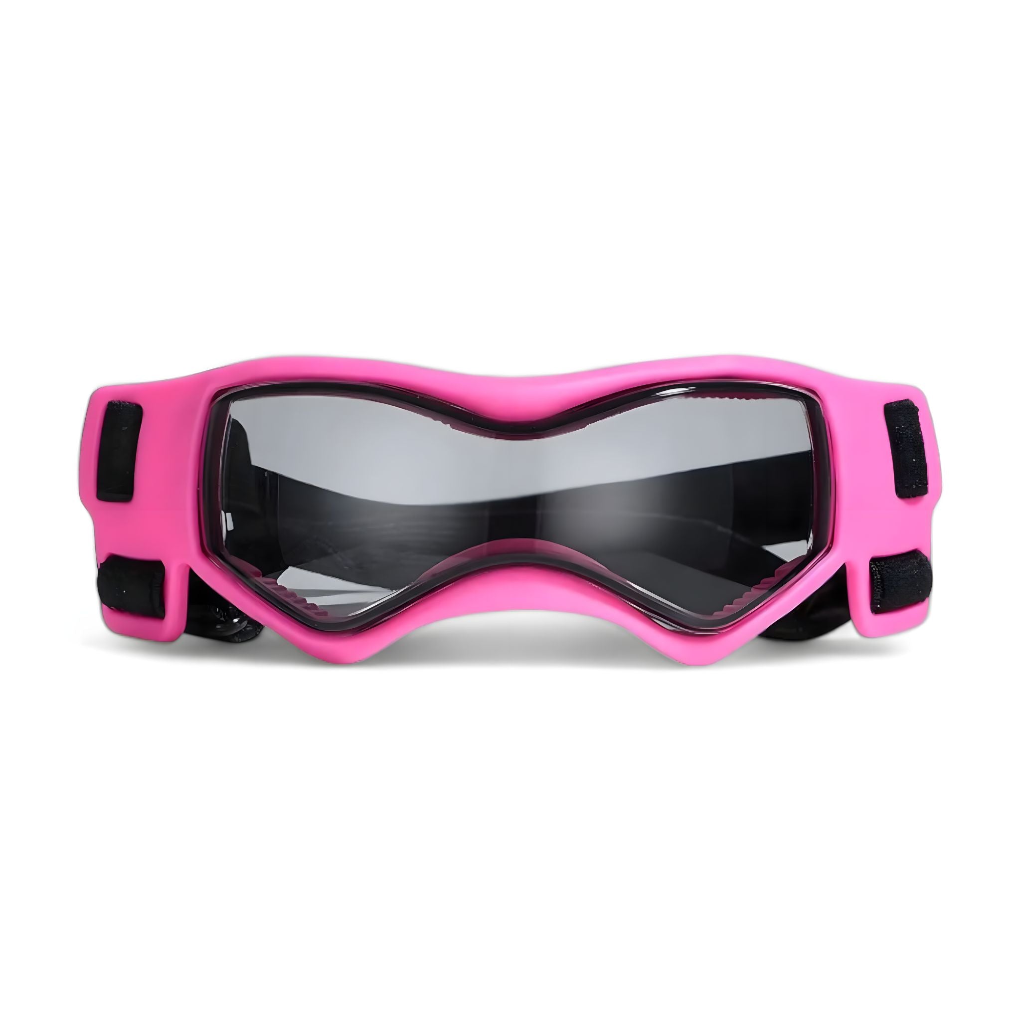 Pet Sunglasses cat grooming Luxe Pet Store 