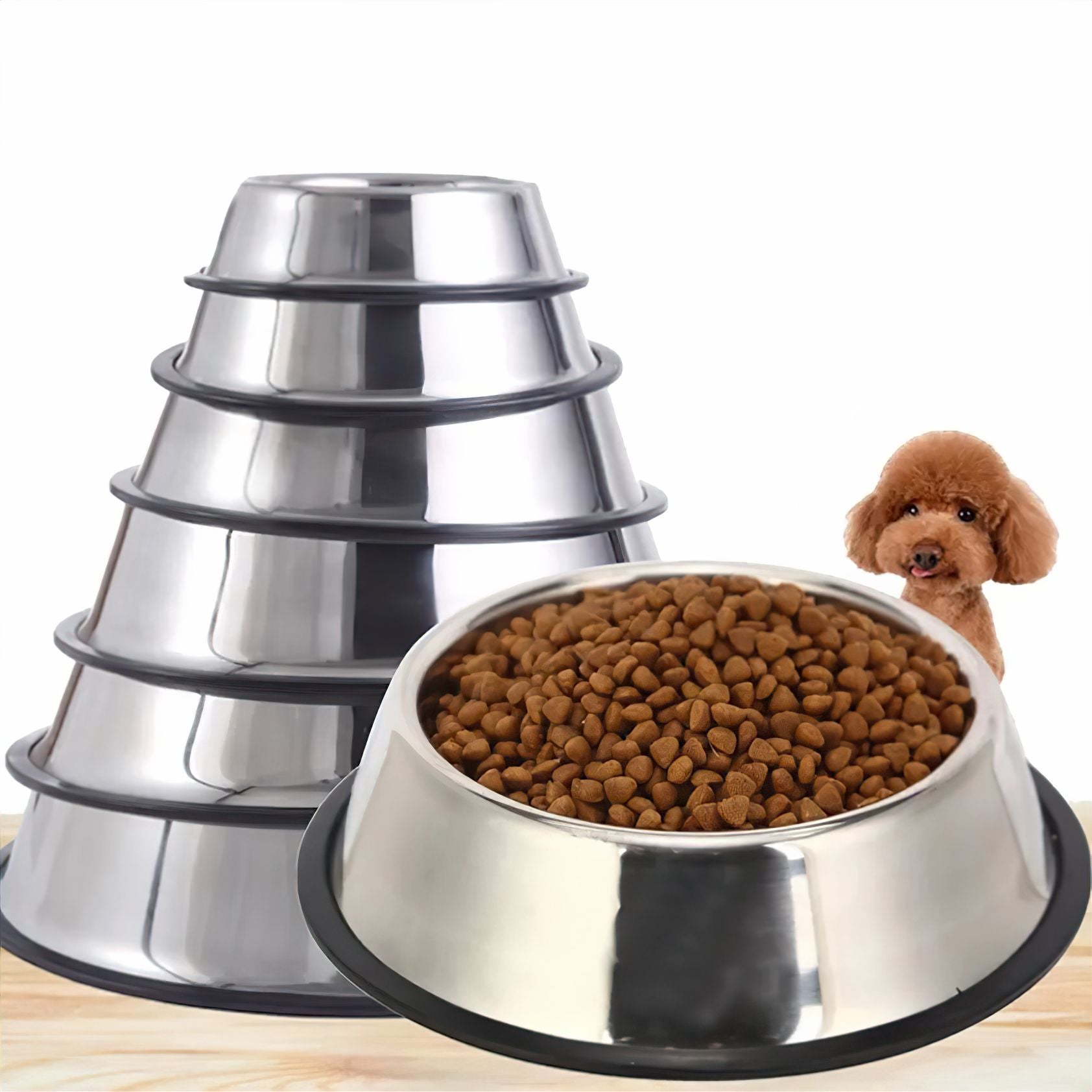 Stainless Paws Pet Bowl